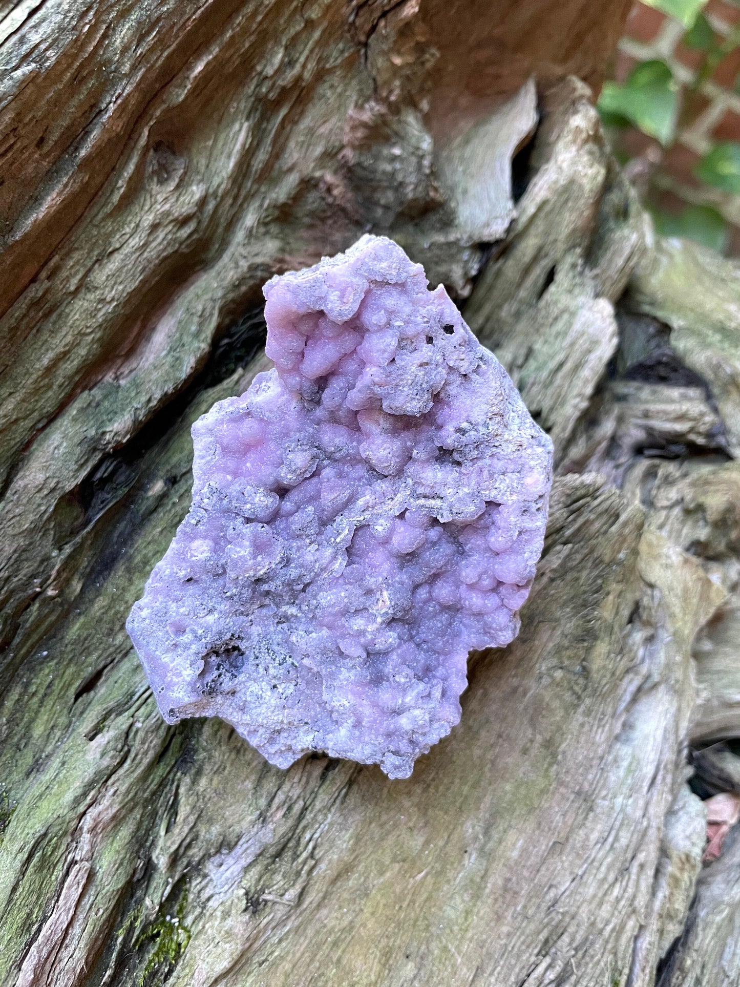 Light Pink and Purple Botryoidal Smithsonite 195.4 Specimen from Choix Sinaloa Mexico
