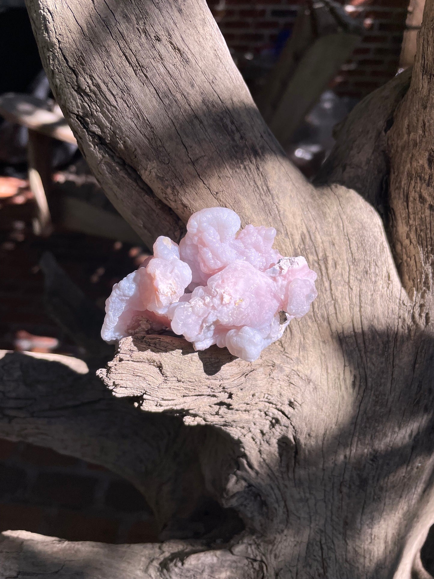 Beautiful Natural Pink Opal from Ica, Peru Specimen 129.2g Mineral