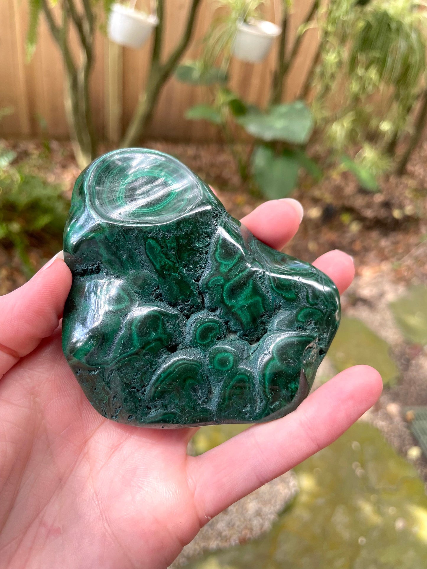 Half Polished Malachite 194g Specimen from The Congo 302g Mineral Crystal