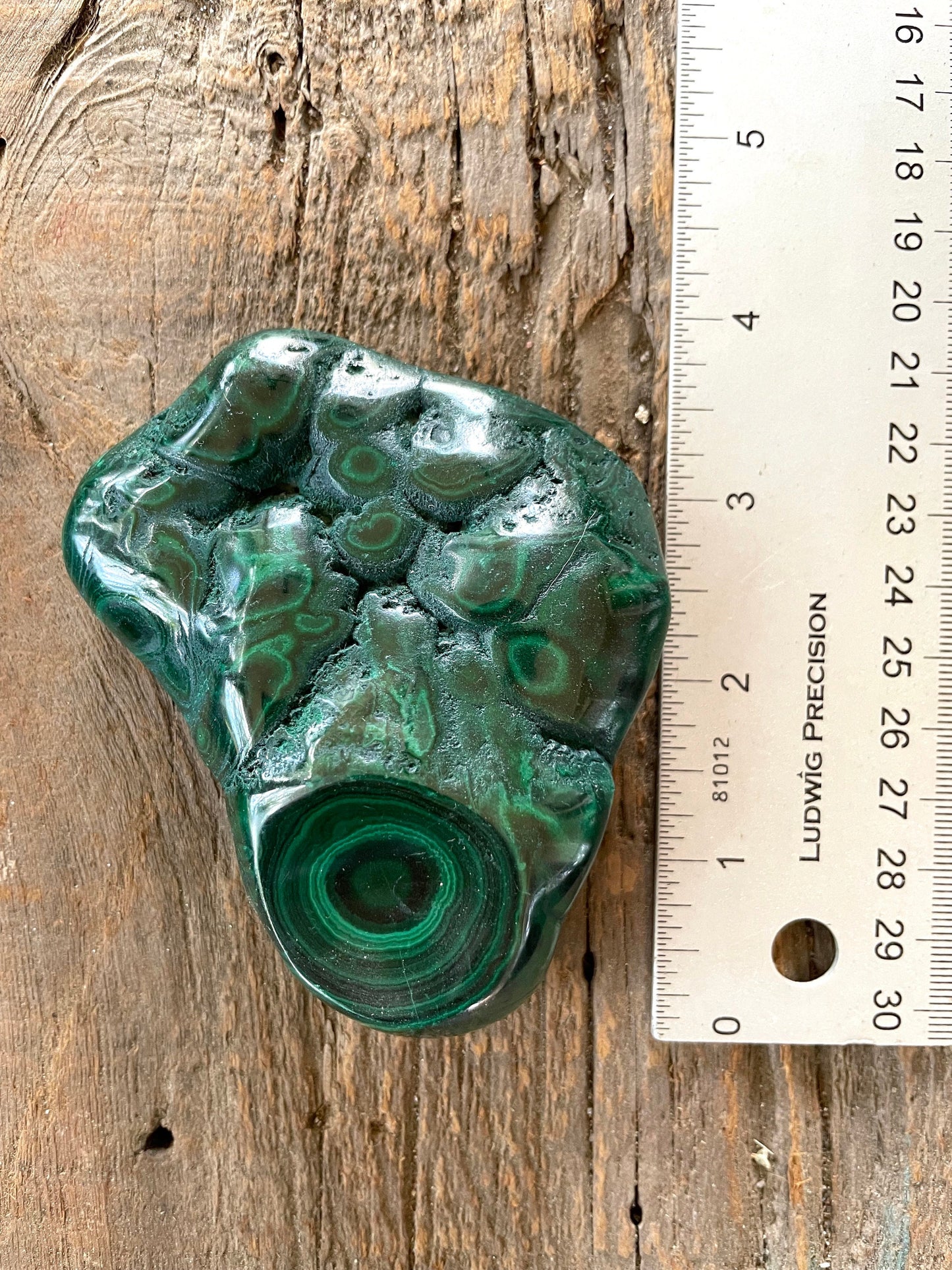 Half Polished Malachite 194g Specimen from The Congo 302g Mineral Crystal