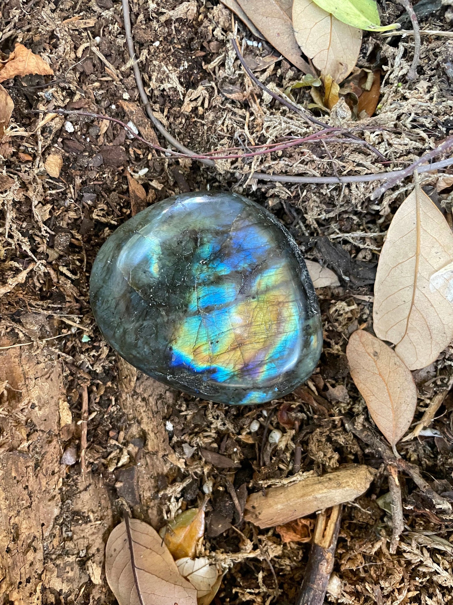 Lovely Polished Rainbow Labradorite Palm Stone 196g Rainbow Flash From Madagascar