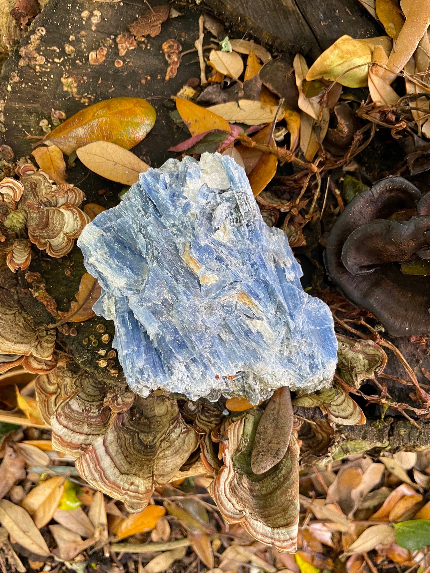 Blue Kyanite 554g From Minas Gerais Brazil Specimen, Crystals Minerals