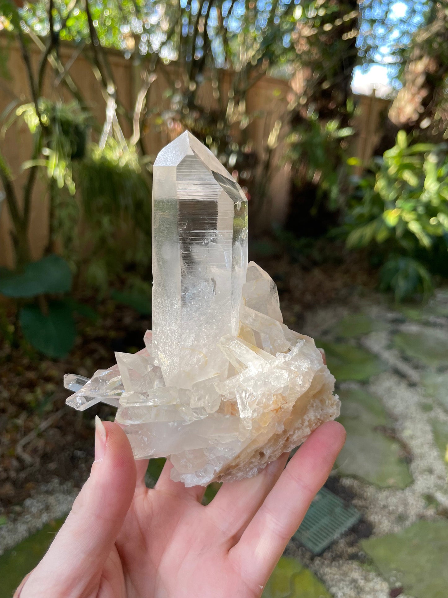 Gorgeous Water Clear Quartz Cluster From Mount. Ida Montgomery Co, Arkansas 332g Specimen