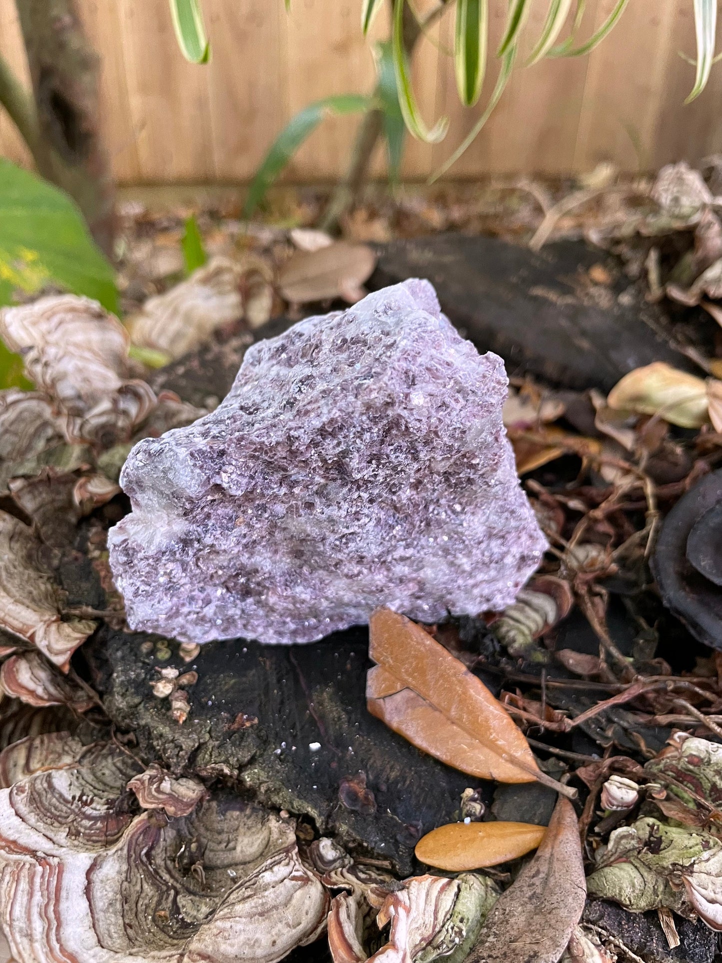 Raw Lepidolite Specimen From Brazil 396g Mineral