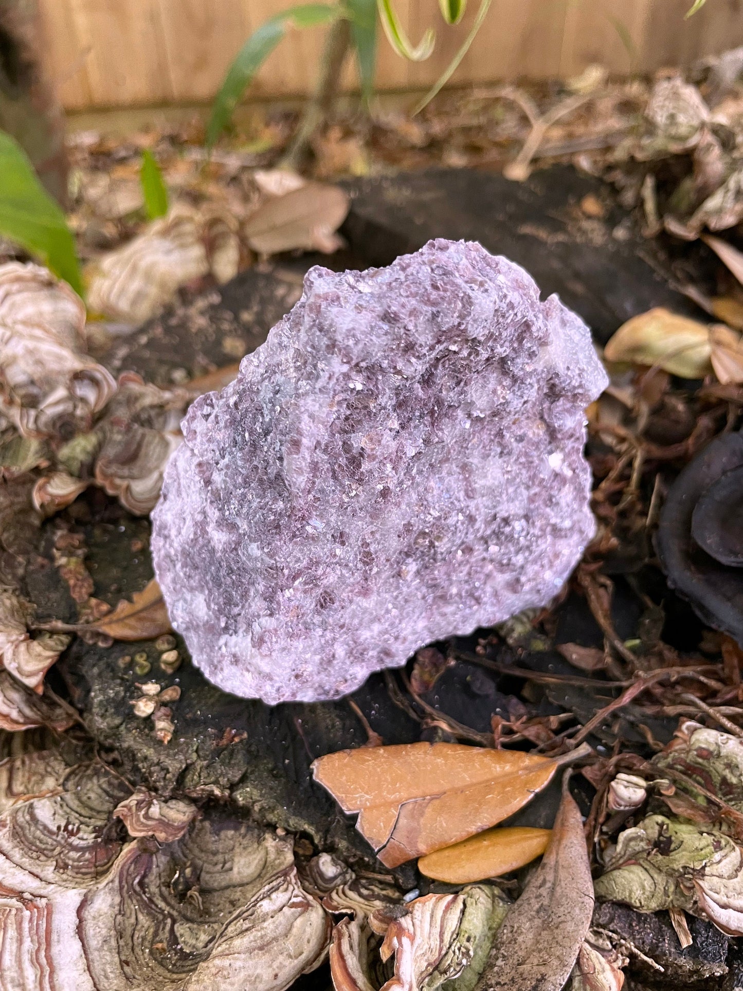 Raw Lepidolite Specimen From Brazil 396g Mineral