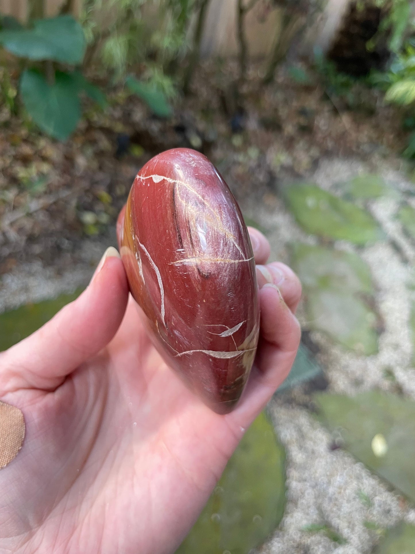 Polished Petrified Wood Heart 310g From Madagascar Mineral Specimen Crystals