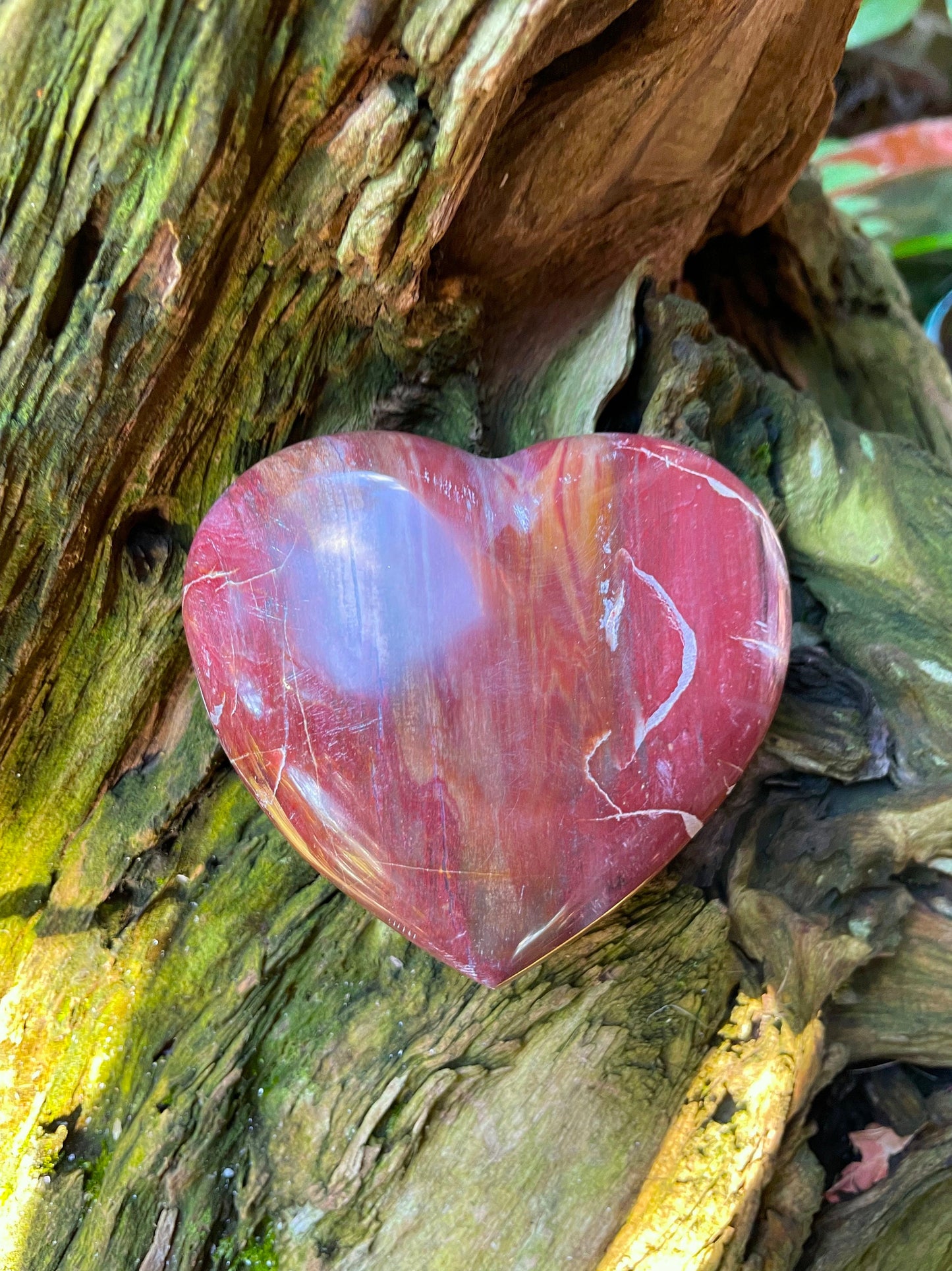 Polished Petrified Wood Heart 310g From Madagascar Mineral Specimen Crystals