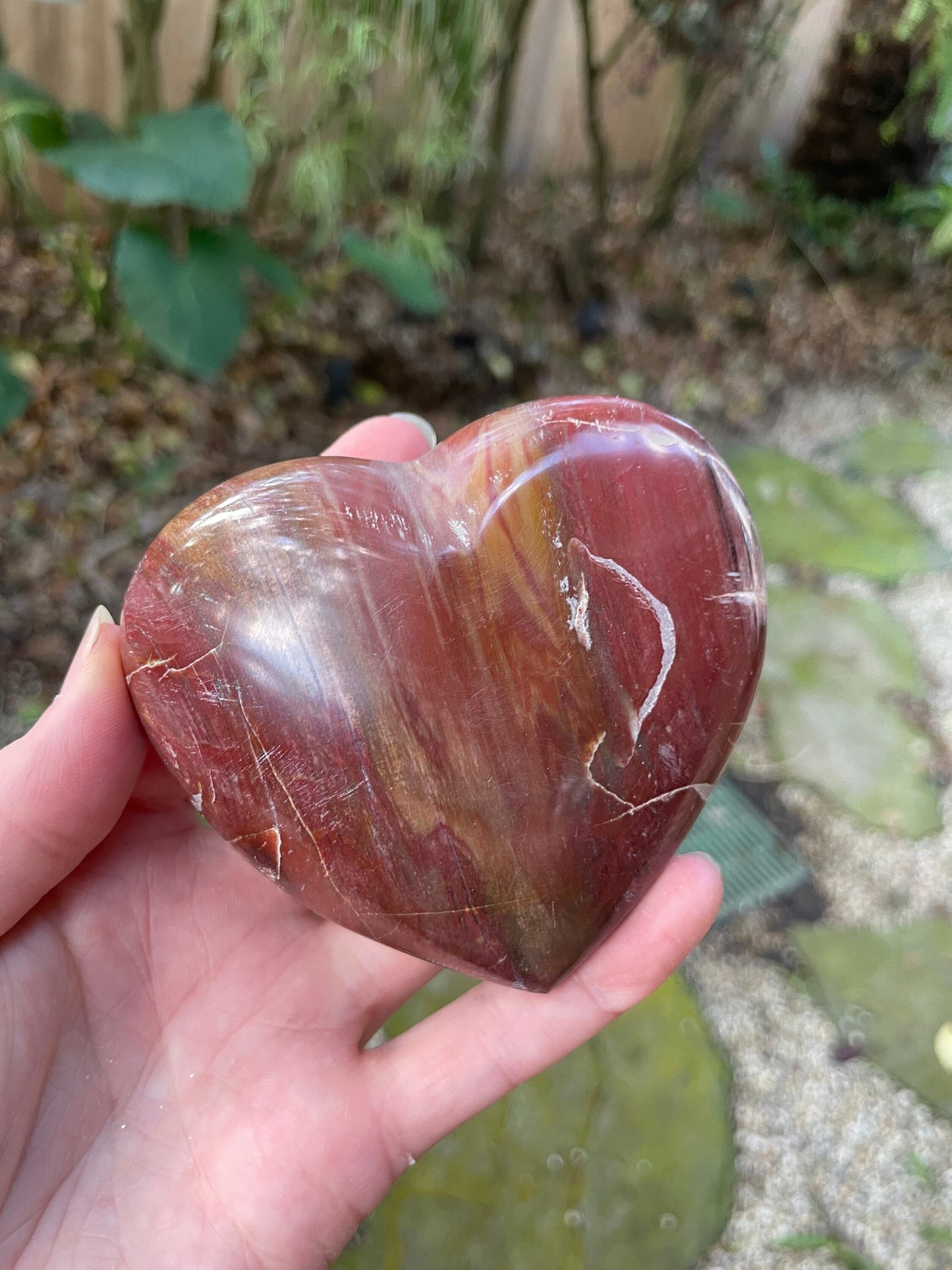 Polished Petrified Wood Heart 310g From Madagascar Mineral Specimen Crystals