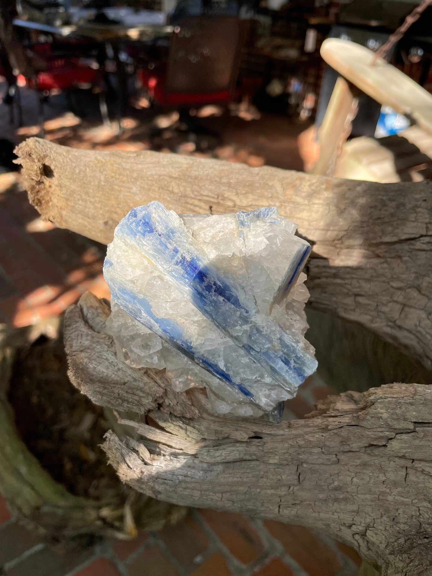 Beautiful Blue Kyanite With Quartz 414g From Minas Gerais Brazil Specimen
