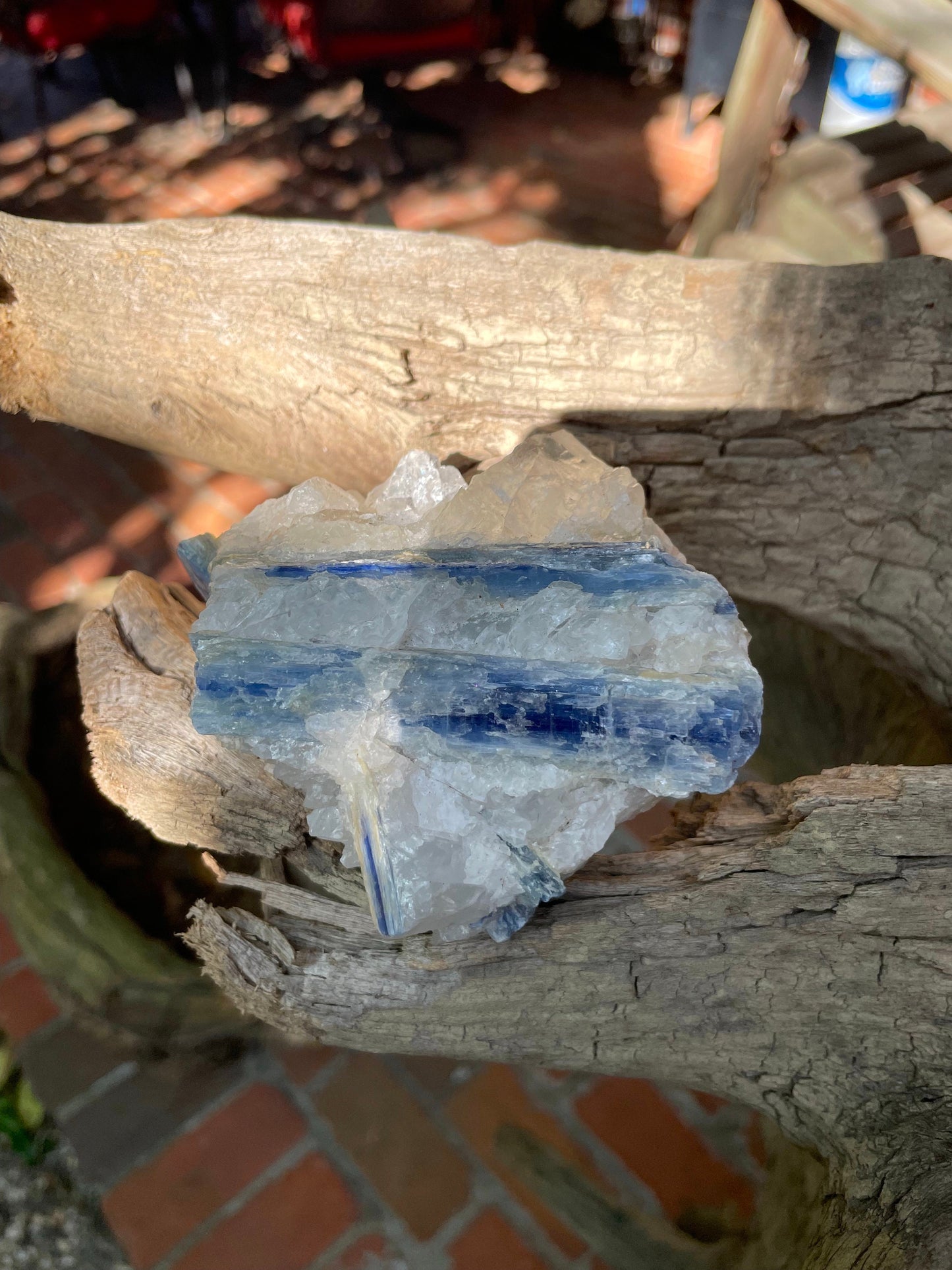 Beautiful Blue Kyanite With Quartz 414g From Minas Gerais Brazil Specimen