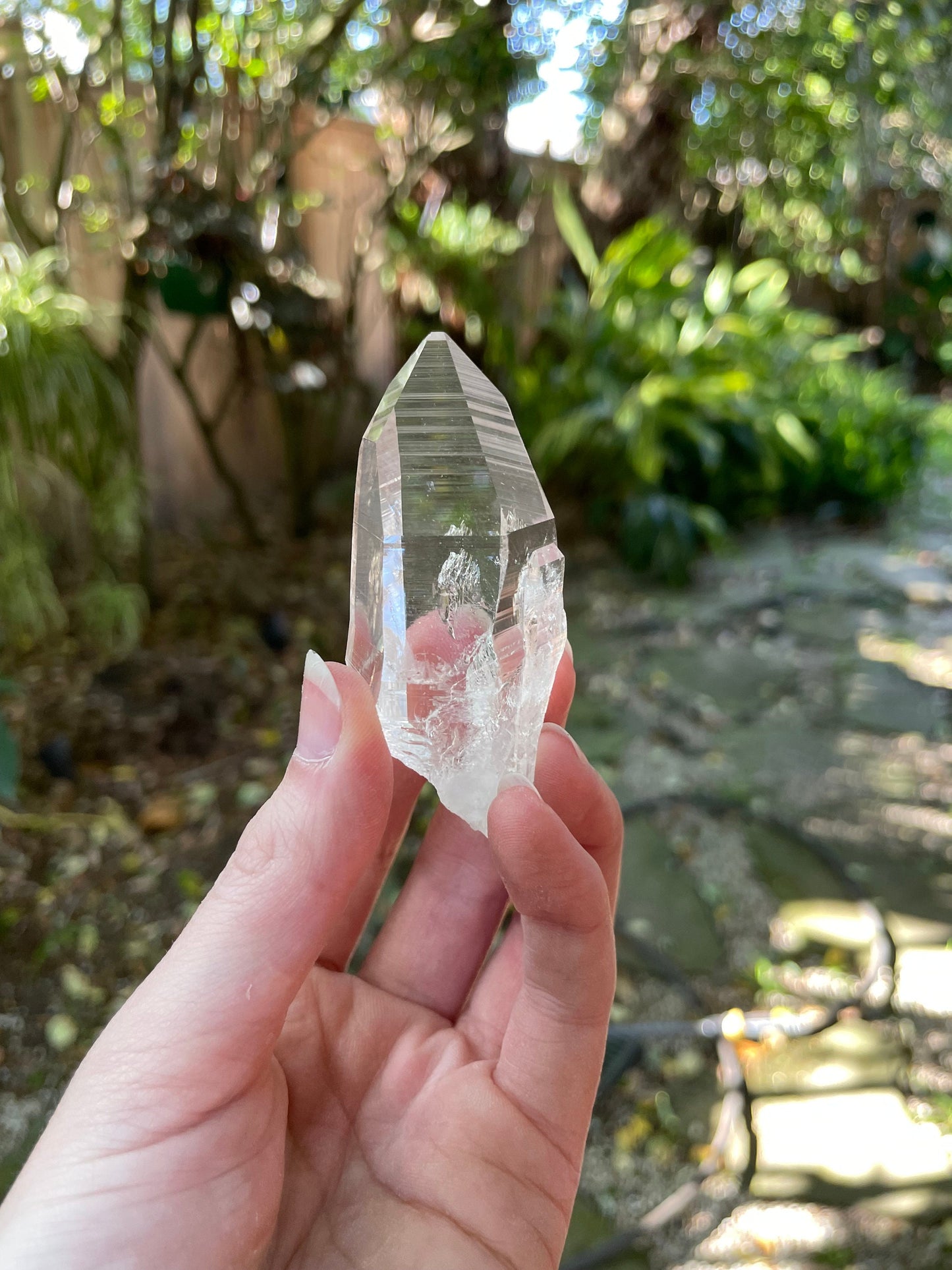 Columbian Lemurian Optical Quartz Point 70.5g Specimen Mineral Crystal Water Clear