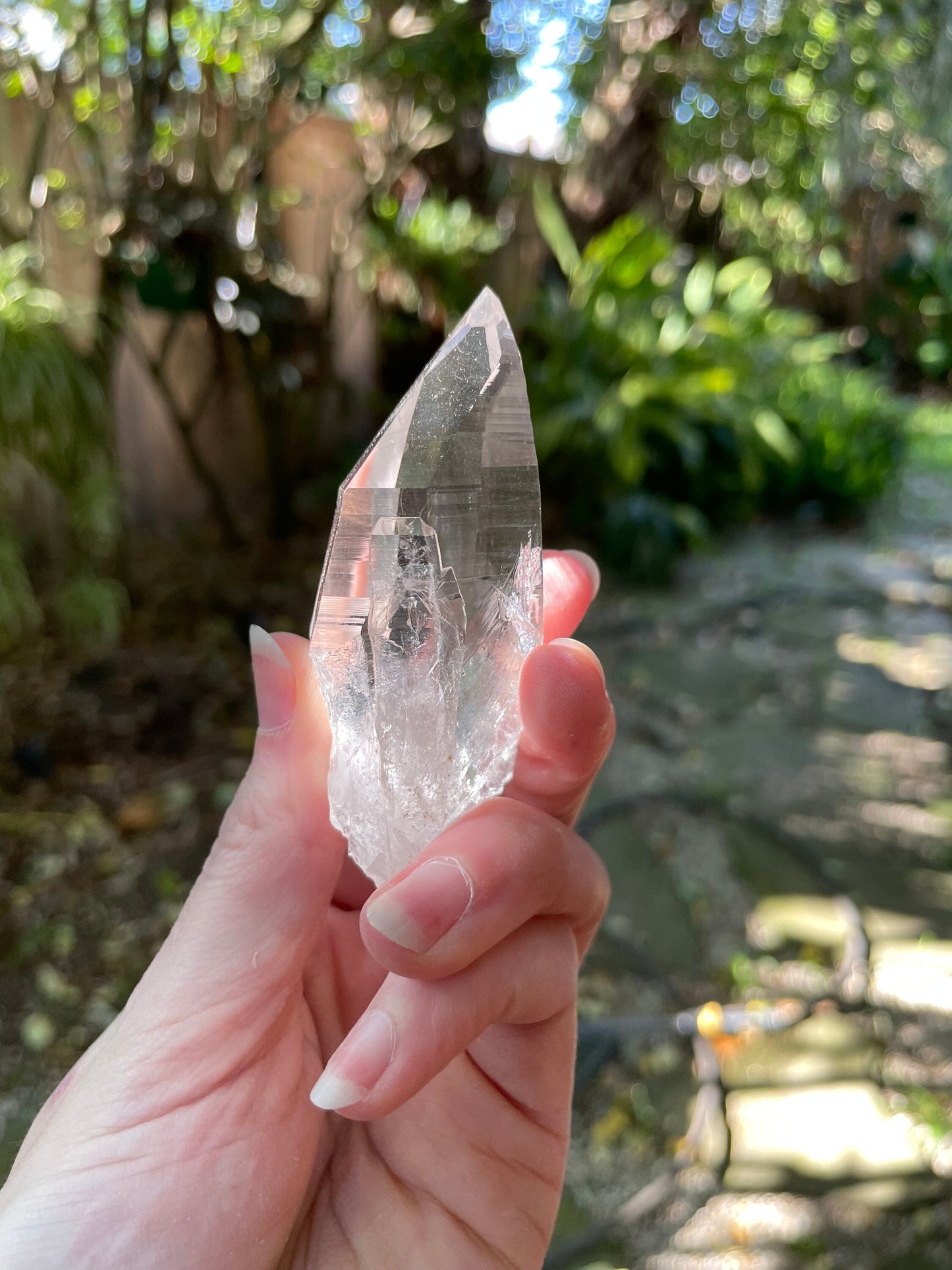 Columbian Lemurian Optical Quartz Point 70.5g Specimen Mineral Crystal Water Clear