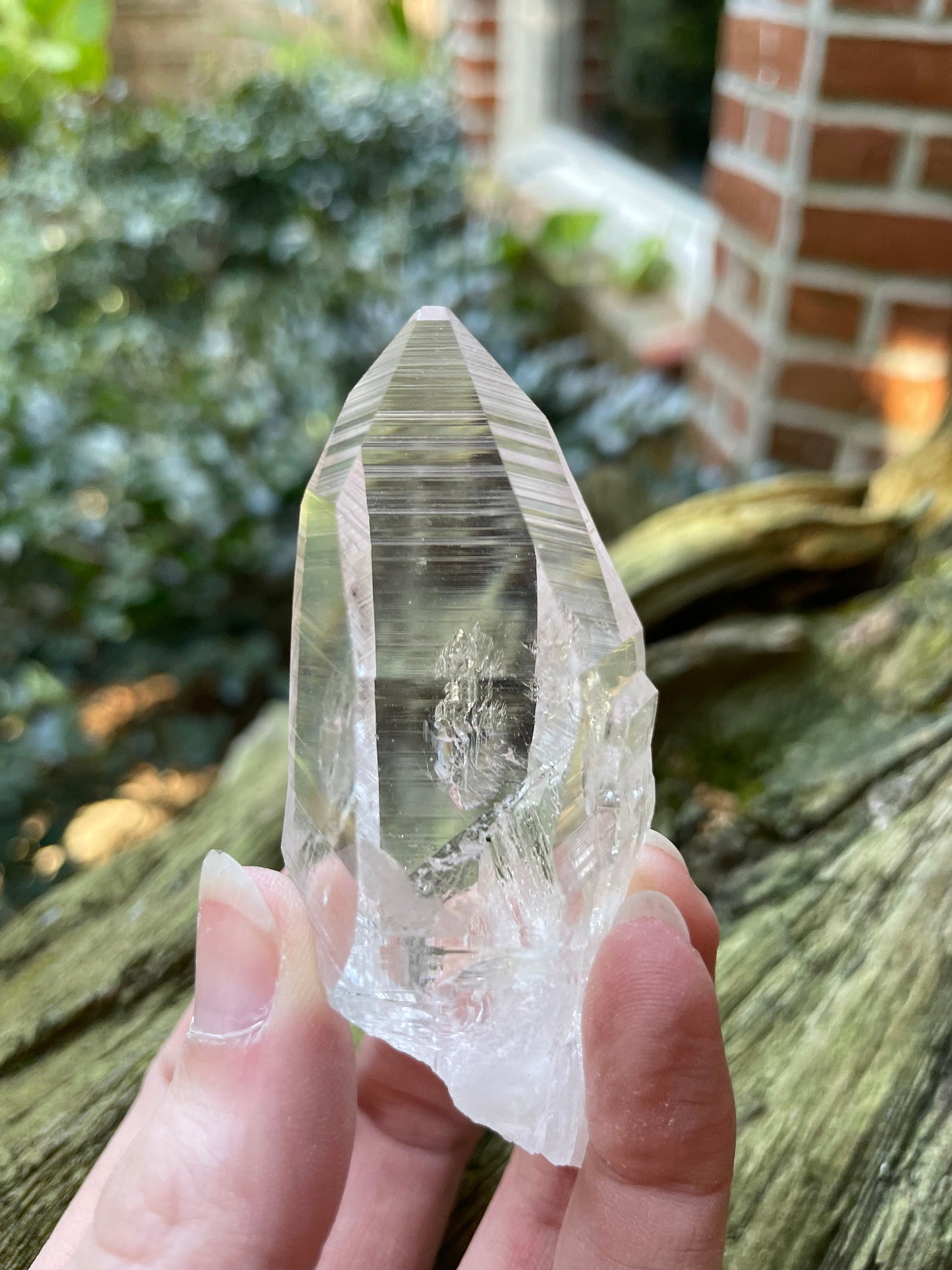 Columbian Lemurian Optical Quartz Point 70.5g Specimen Mineral Crystal Water Clear