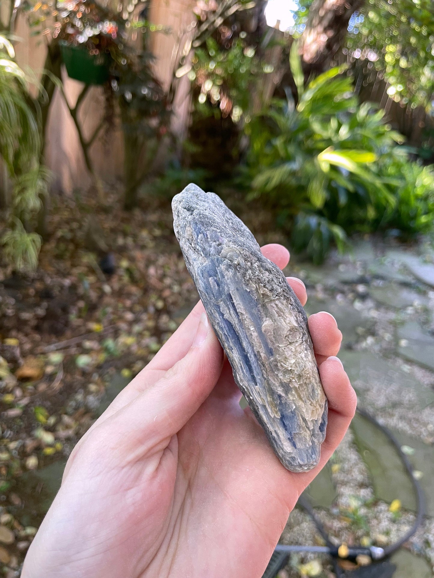 Lovely Blue Kyanite 220g From Minas Gerais Brazil Specimen