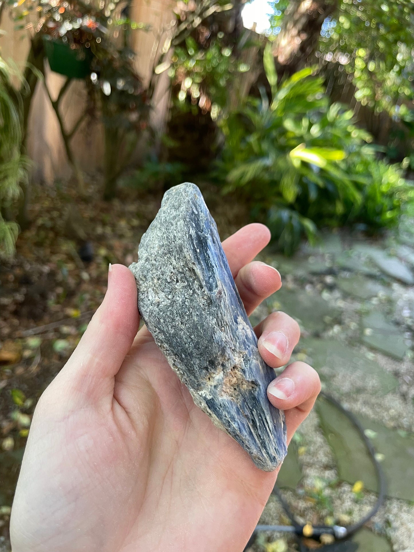 Lovely Blue Kyanite 220g From Minas Gerais Brazil Specimen
