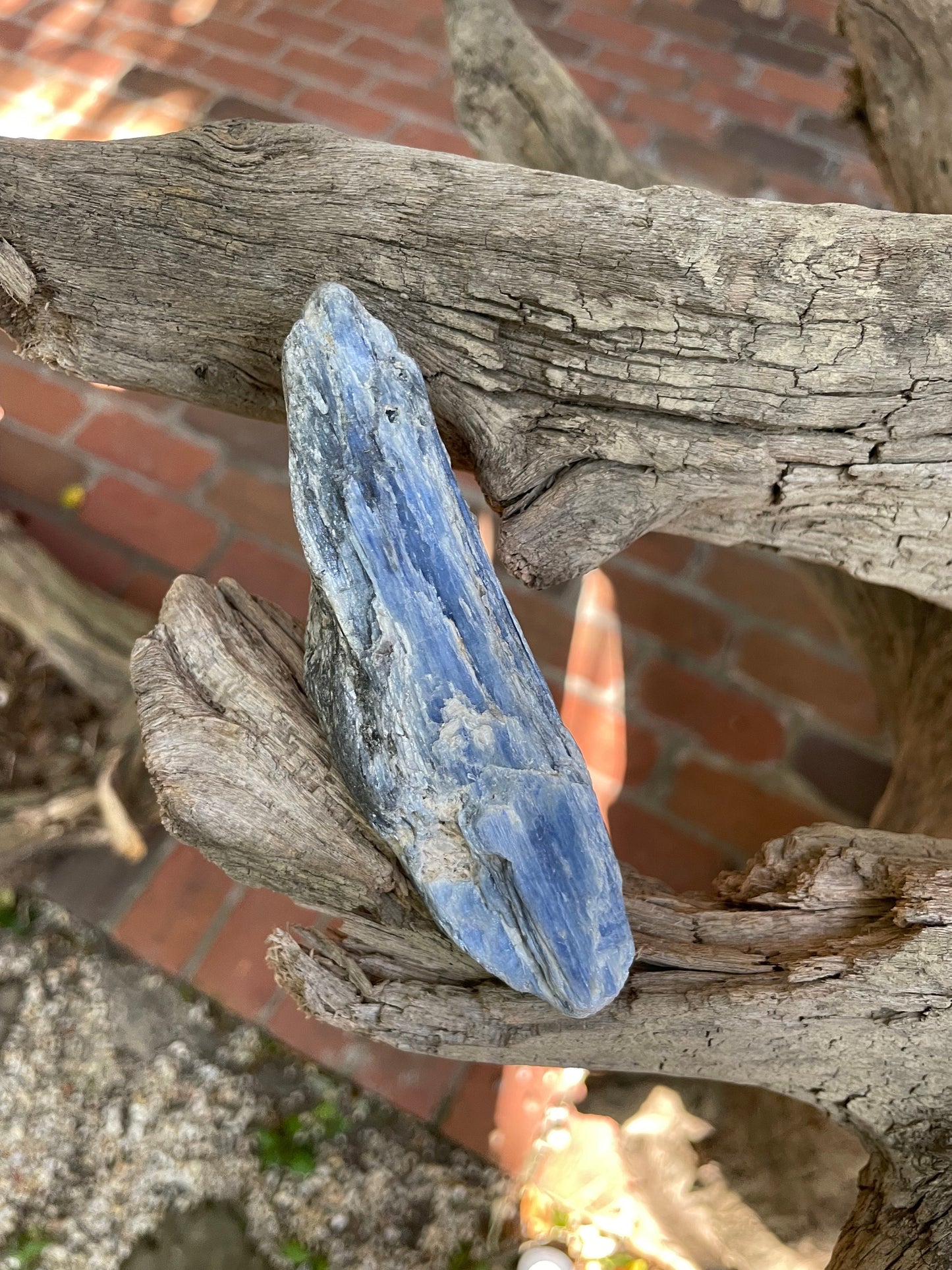 Lovely Blue Kyanite 220g From Minas Gerais Brazil Specimen