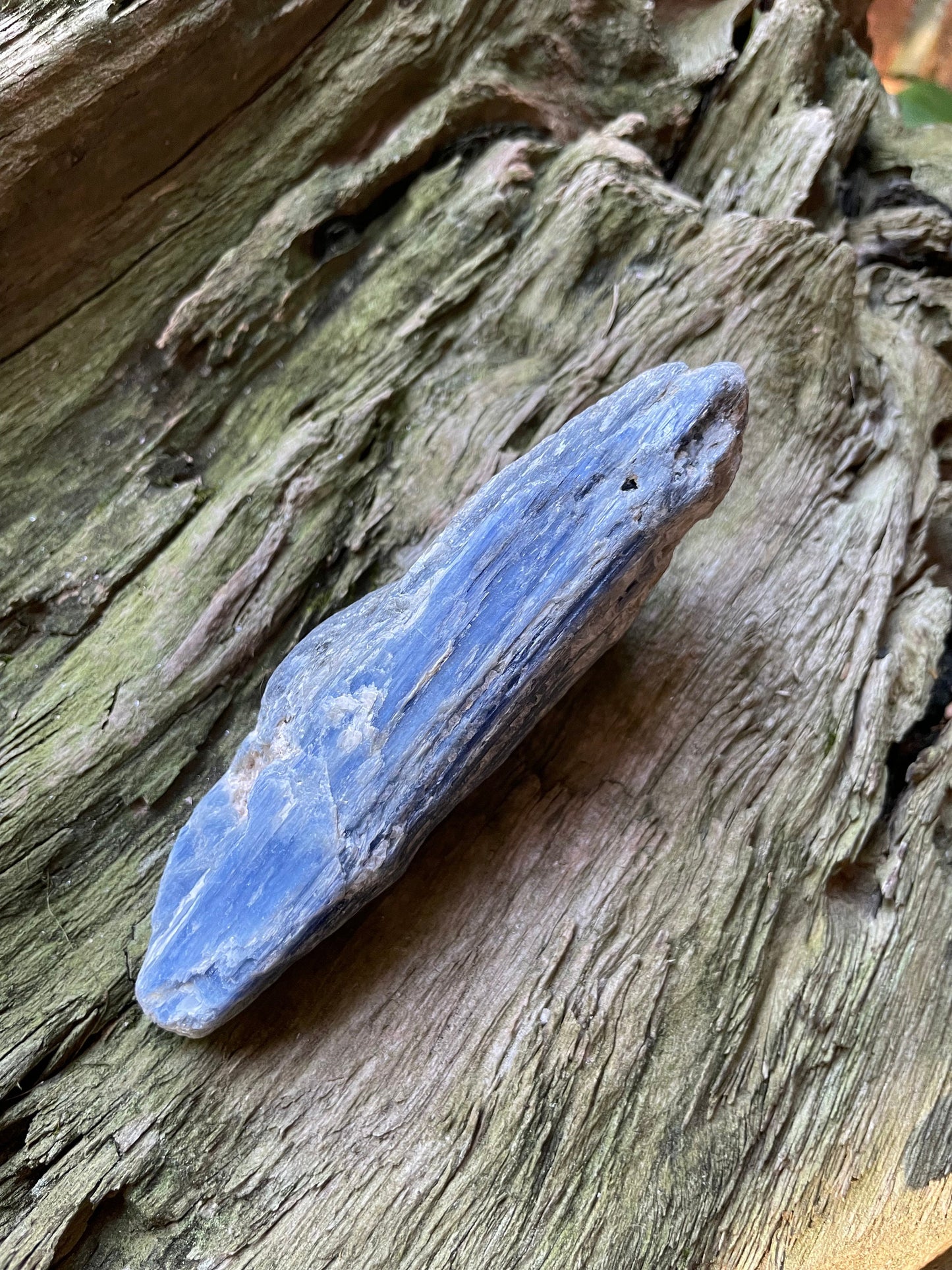 Lovely Blue Kyanite 220g From Minas Gerais Brazil Specimen