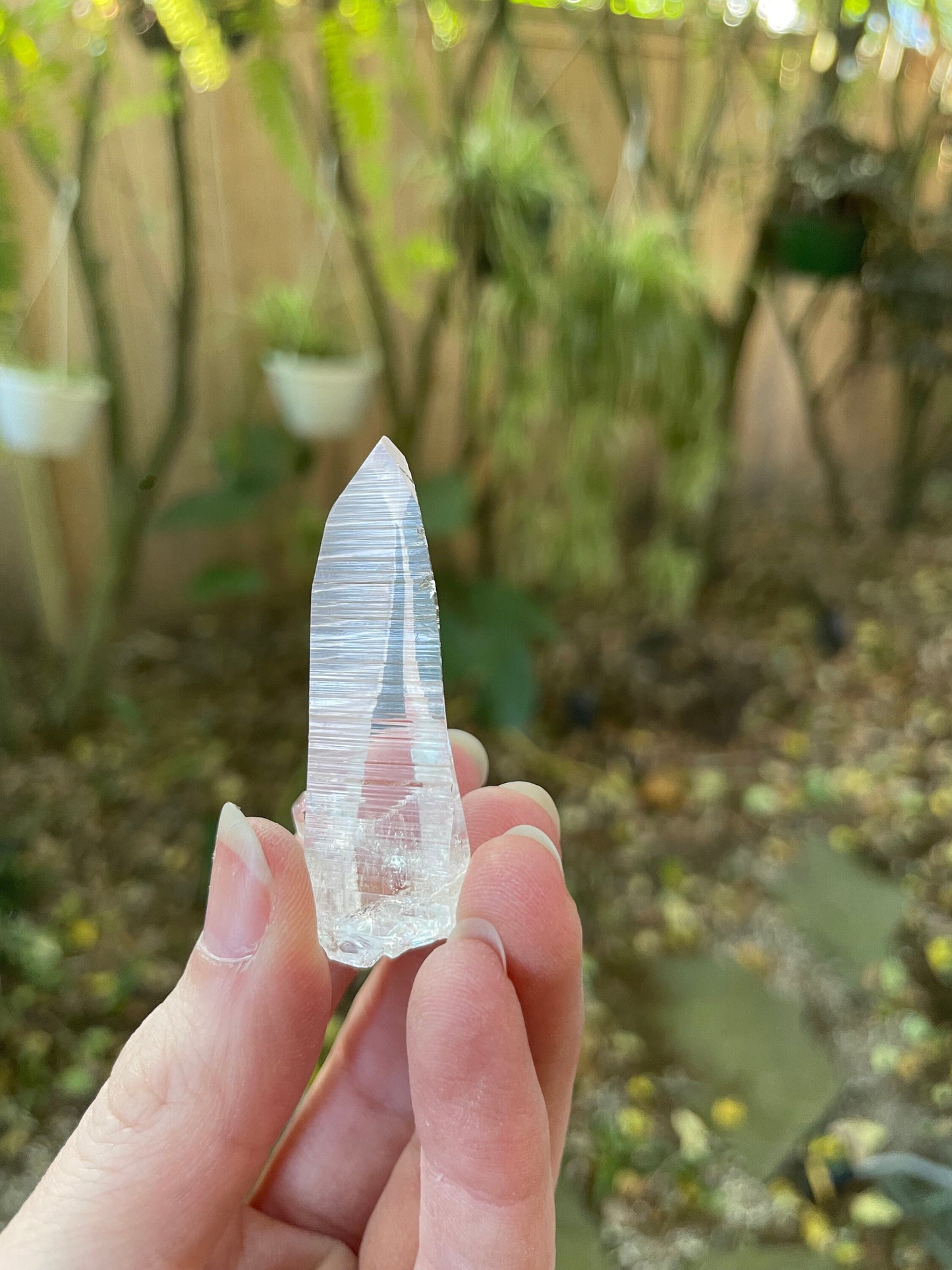 Stunning Columbian Lemurian Optical Quartz Point 21.8g Specimen