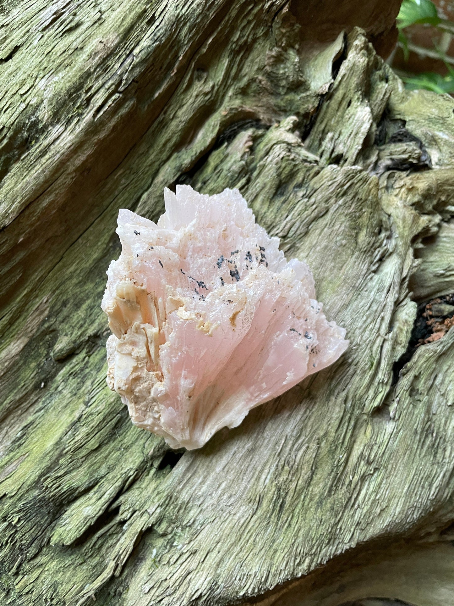 Mangano Calcite Specimen from Huanggang Mine, Chafing. Inner Mongolia China Mineral Crystal