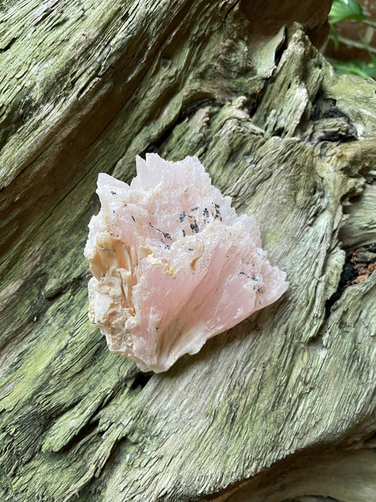 Mangano Calcite Specimen from Huanggang Mine, Chafing. Inner Mongolia China Mineral Crystal