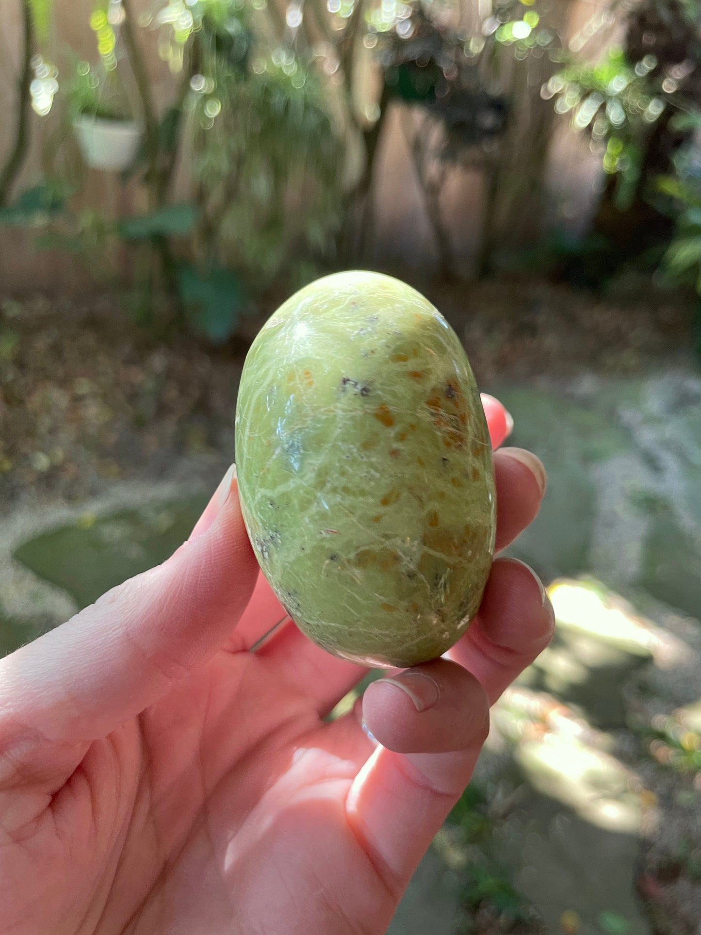Polished Green Opal Palm Stone From Madagascar, Specimen 107.5g Crystal Mineral