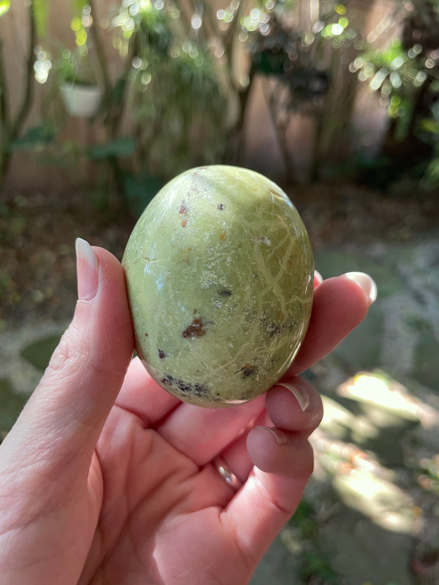 Polished Green Opal Palm Stone From Madagascar, Specimen 107.5g Crystal Mineral