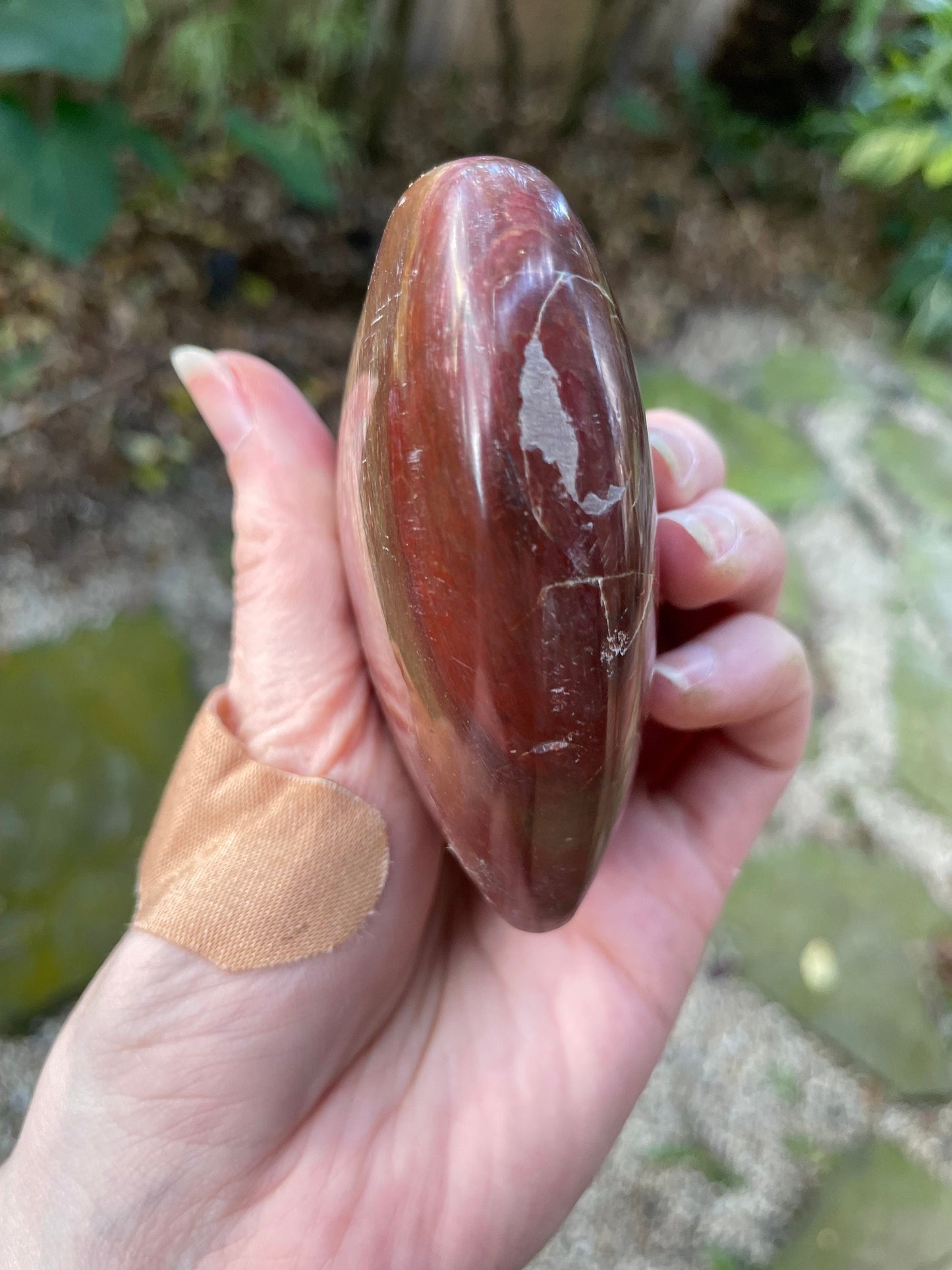 Polished Petrified Wood Heart 310g From Madagascar Mineral Specimen Crystals