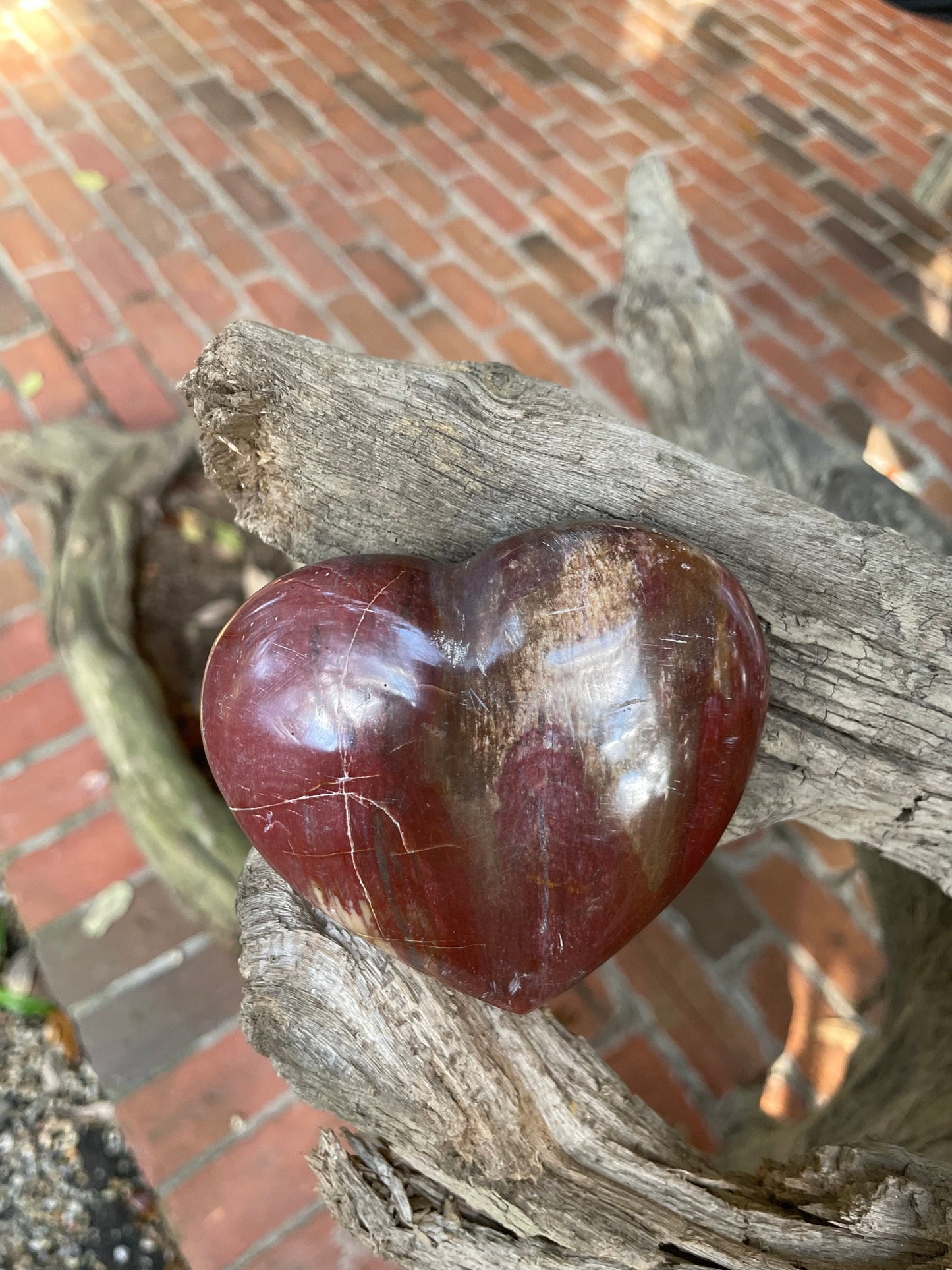 Polished Petrified Wood Heart 310g From Madagascar Mineral Specimen Crystals