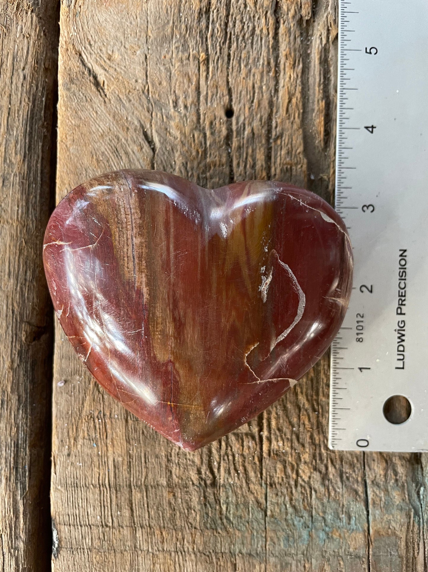 Polished Petrified Wood Heart 310g From Madagascar Mineral Specimen Crystals