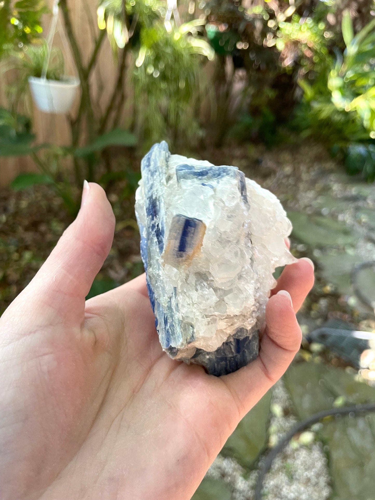 Beautiful Blue Kyanite With Quartz 414g From Minas Gerais Brazil Specimen