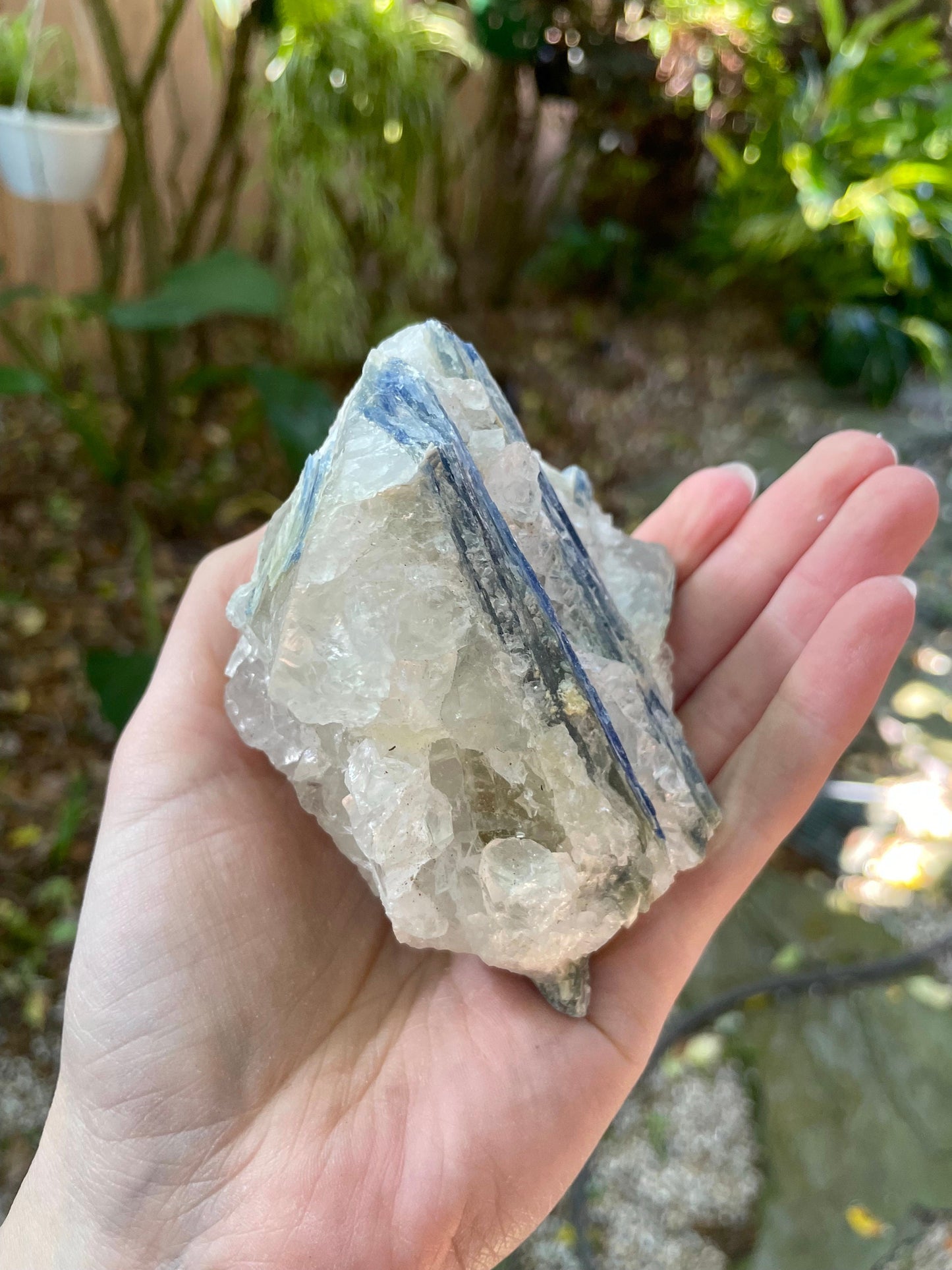 Beautiful Blue Kyanite With Quartz 414g From Minas Gerais Brazil Specimen