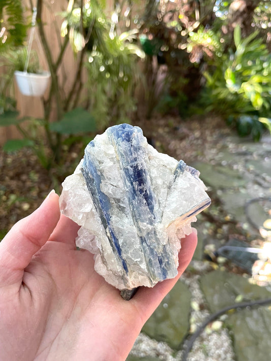 Beautiful Blue Kyanite With Quartz 414g From Minas Gerais Brazil Specimen