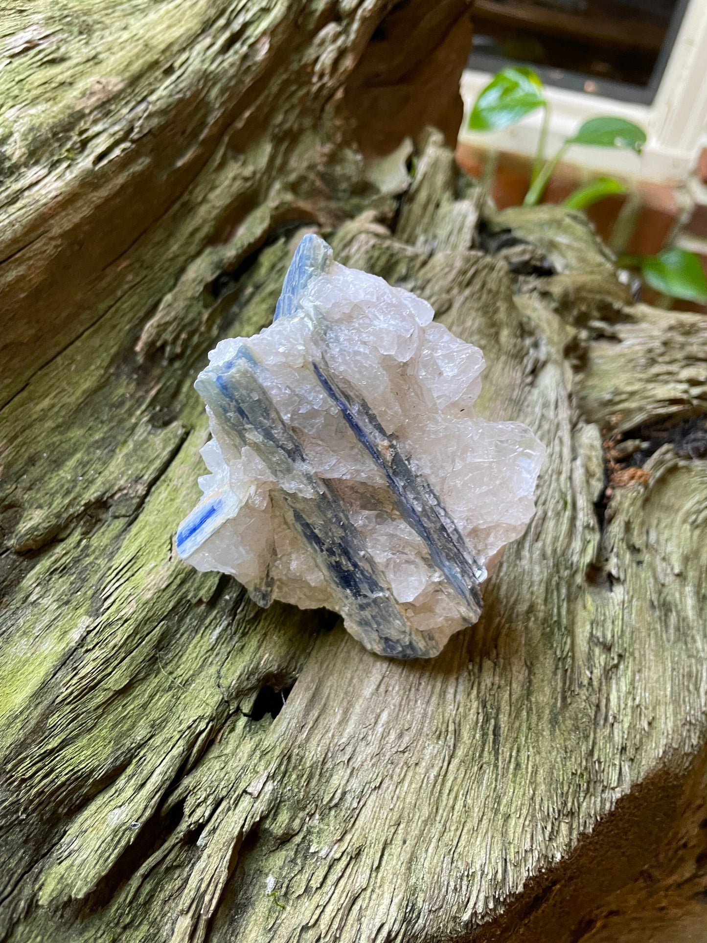 Beautiful Blue Kyanite With Quartz 414g From Minas Gerais Brazil Specimen