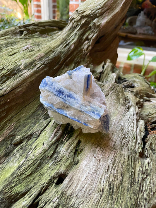Beautiful Blue Kyanite With Quartz 414g From Minas Gerais Brazil Specimen