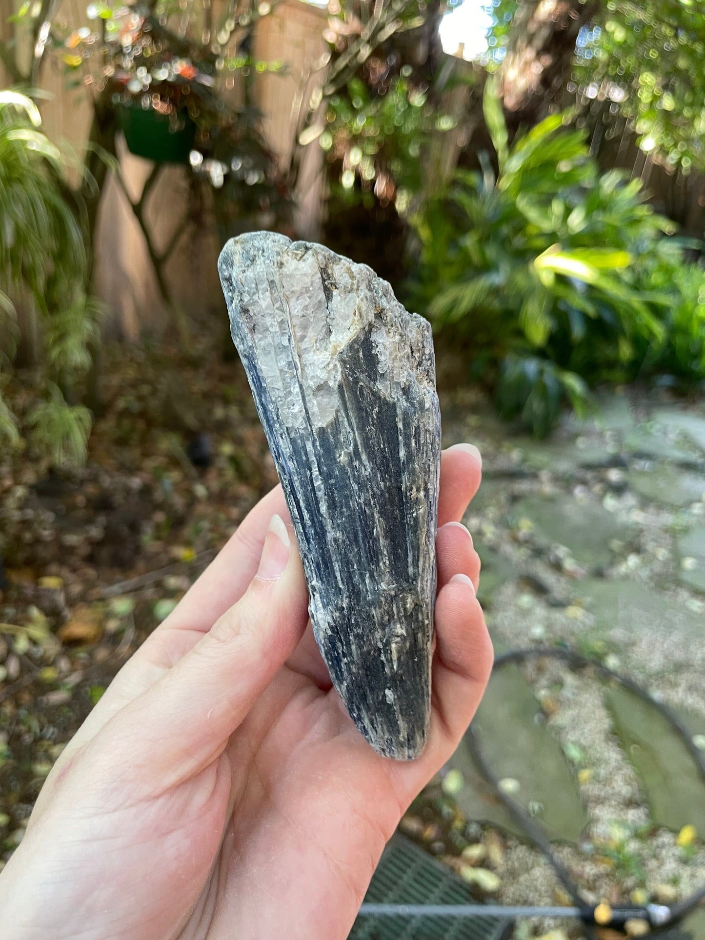 Lovely Blue Kyanite 220g From Minas Gerais Brazil Specimen