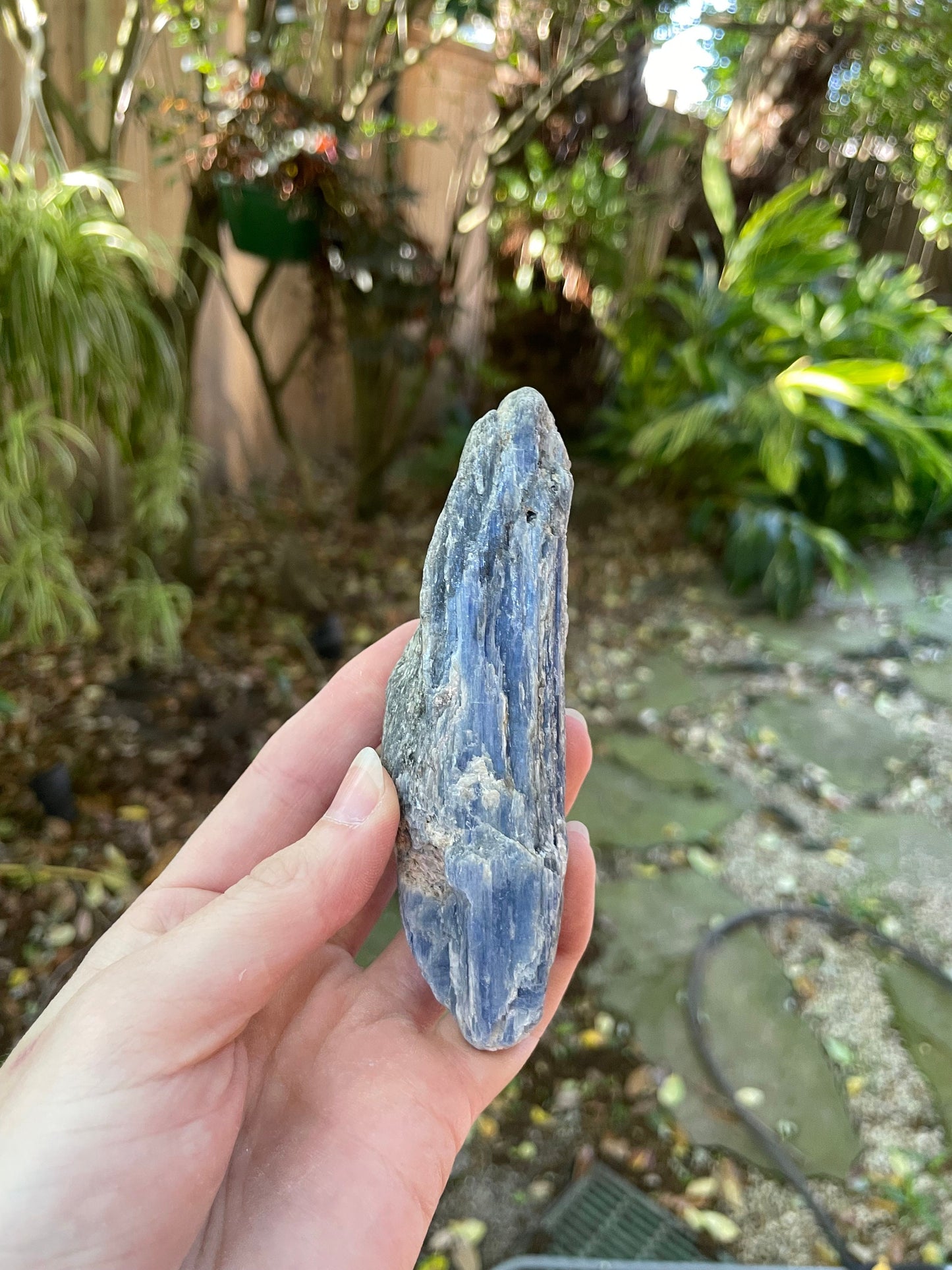 Lovely Blue Kyanite 220g From Minas Gerais Brazil Specimen