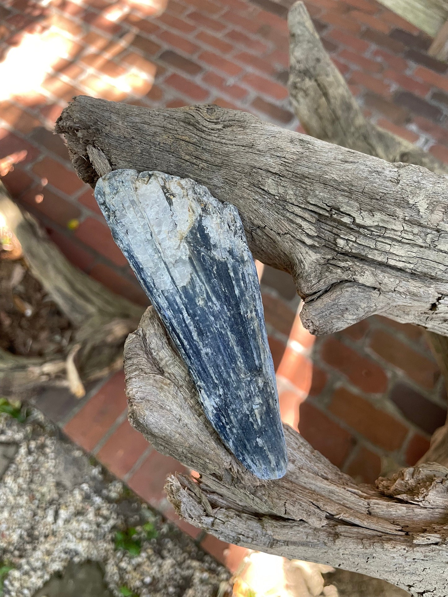 Lovely Blue Kyanite 220g From Minas Gerais Brazil Specimen