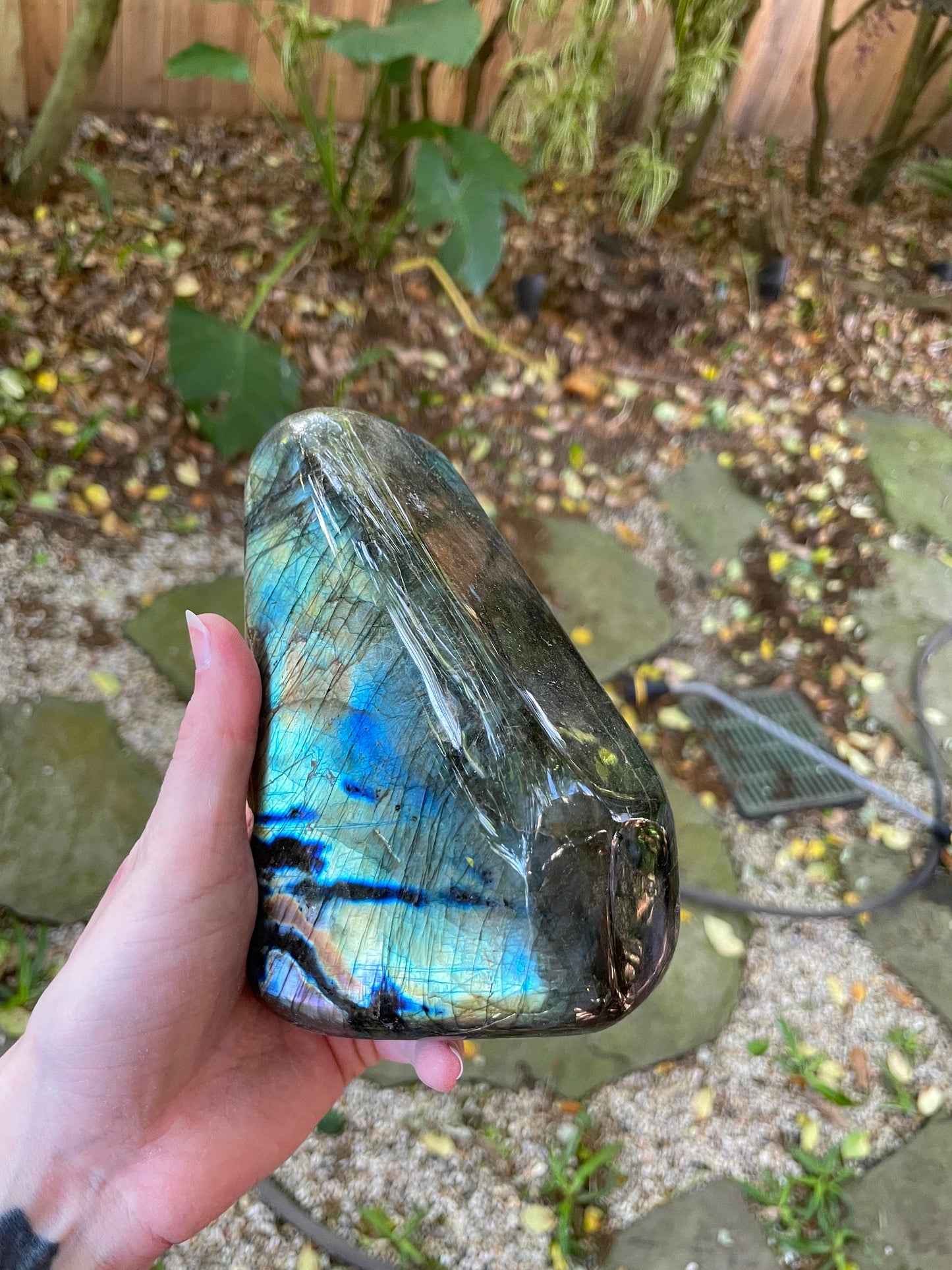 Large Polished Labradorite Freestanding Display Stone 1488g 3lbs 4.5oz From Madagascar Great Flash!