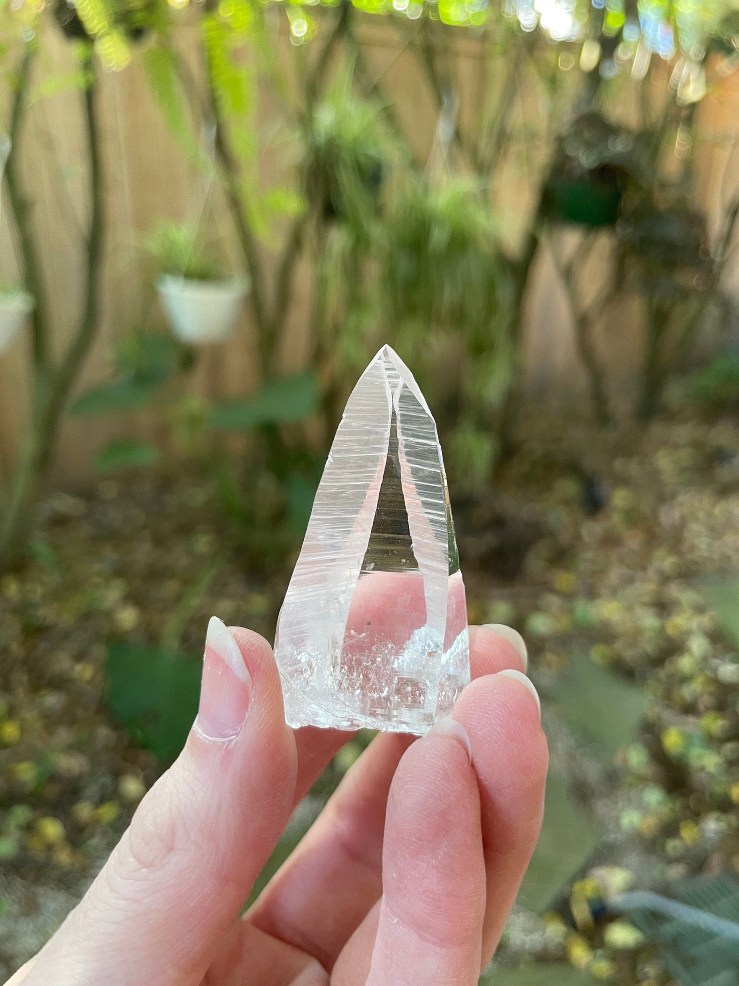 Stunning Columbian Lemurian Optical Quartz Point 21.8g Specimen