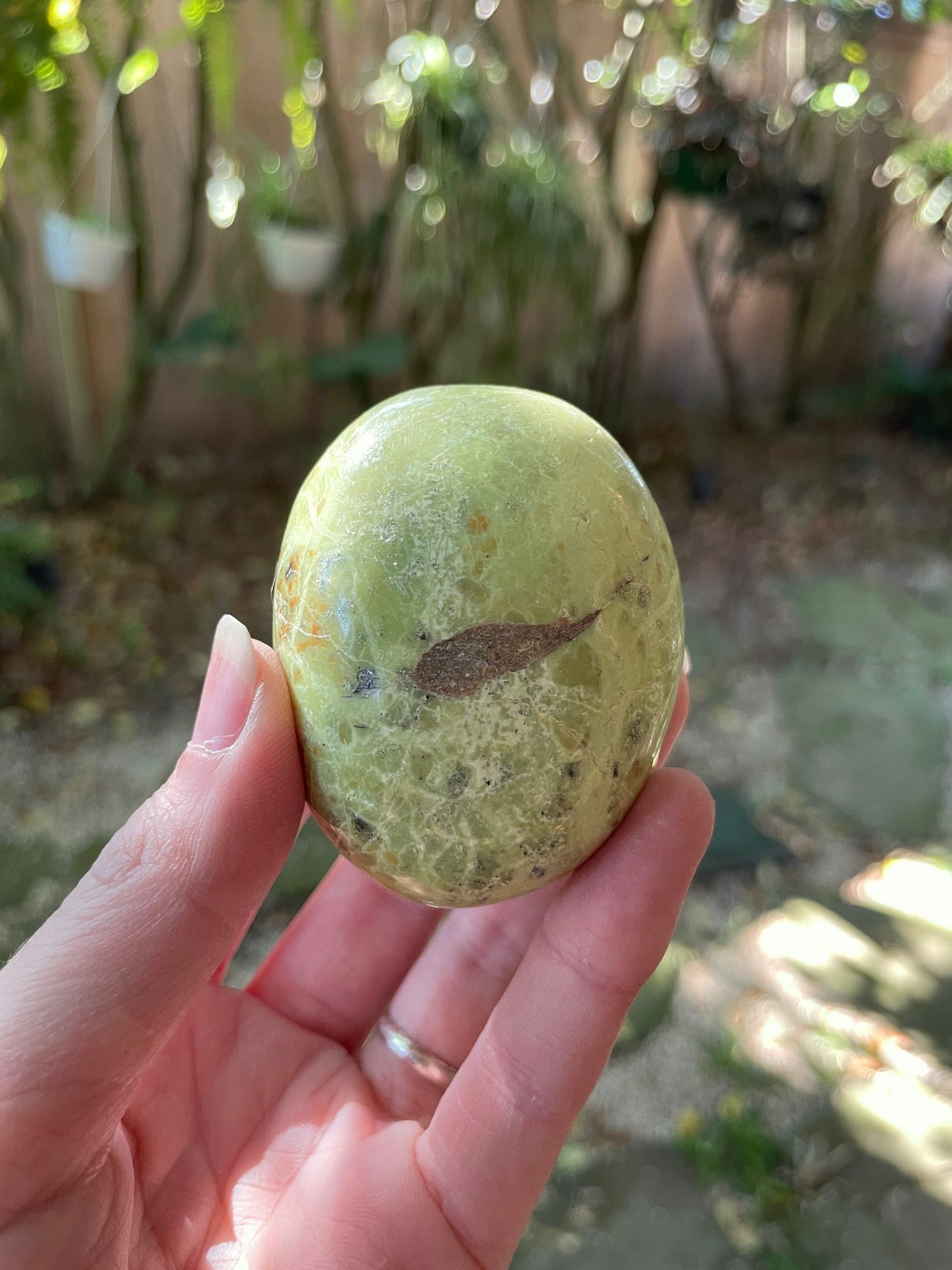 Polished Green Opal Palm Stone From Madagascar, Specimen 107.5g Crystal Mineral