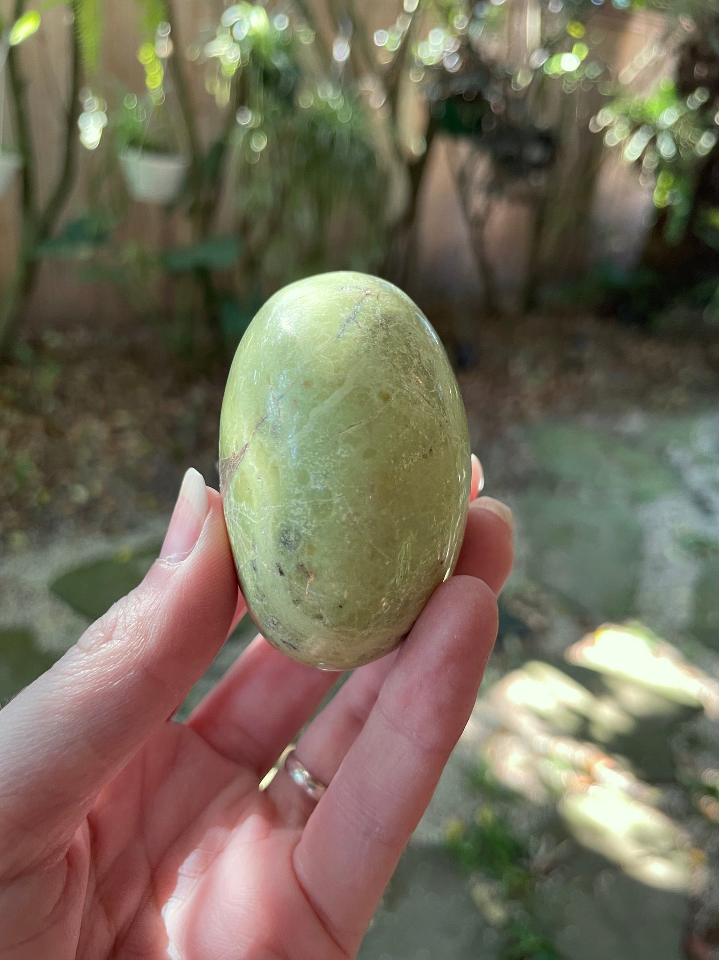 Polished Green Opal Palm Stone From Madagascar, Specimen 107.5g Crystal Mineral