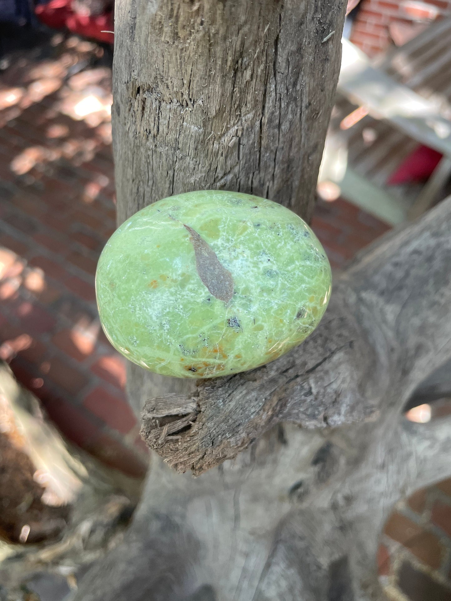 Polished Green Opal Palm Stone From Madagascar, Specimen 107.5g Crystal Mineral