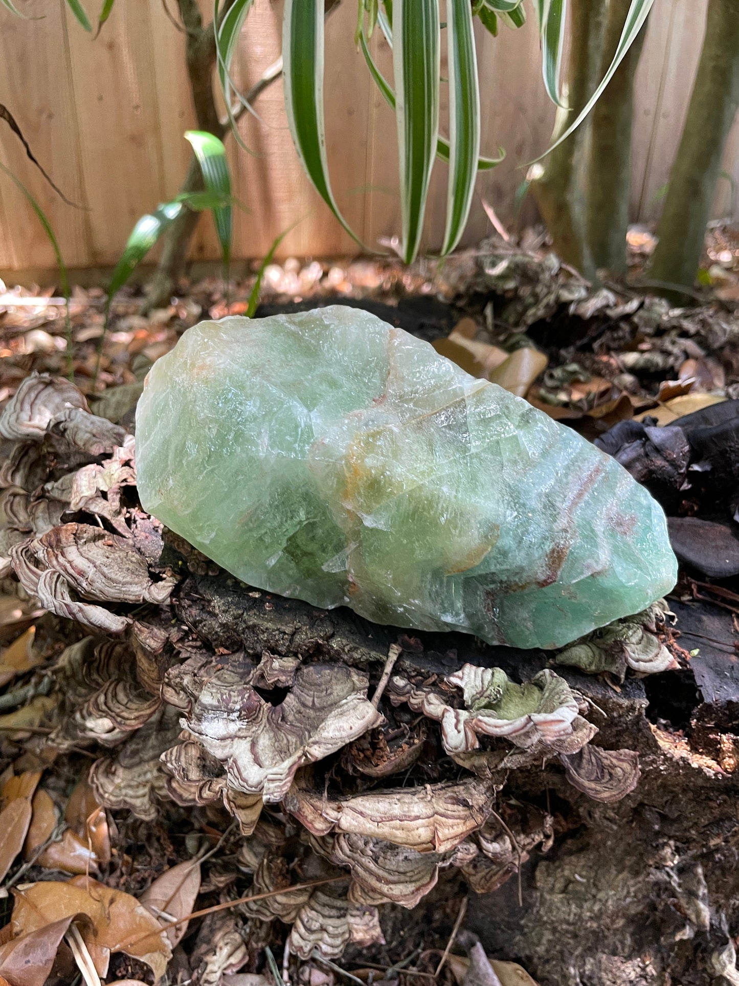 Beautiful Blue/Green Calcite Specimen from Mexico, 954g Mineral Crystal