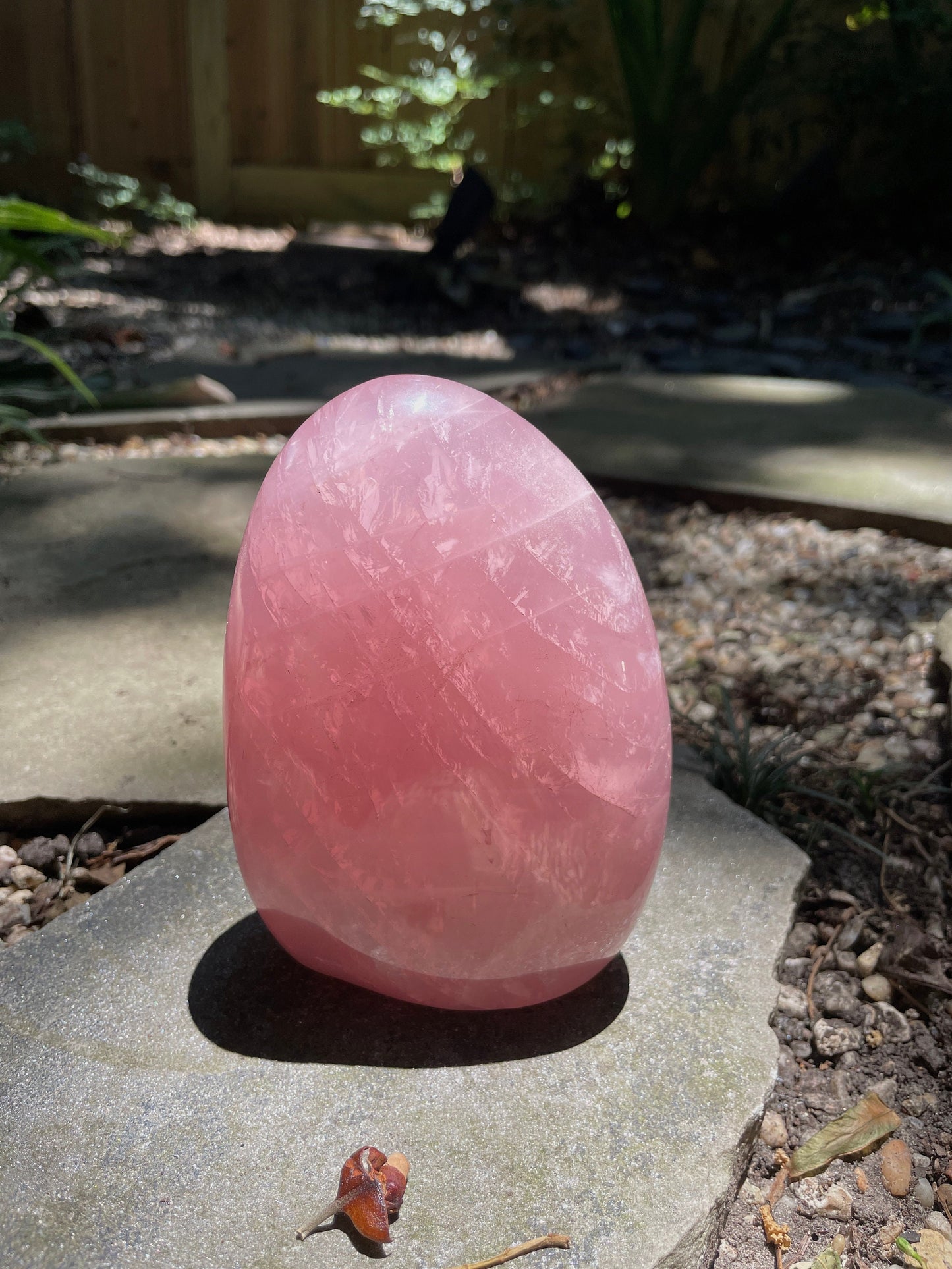 Polished Rose Quartz Free From Madagascar 992g 2lbs 3oz Specimen