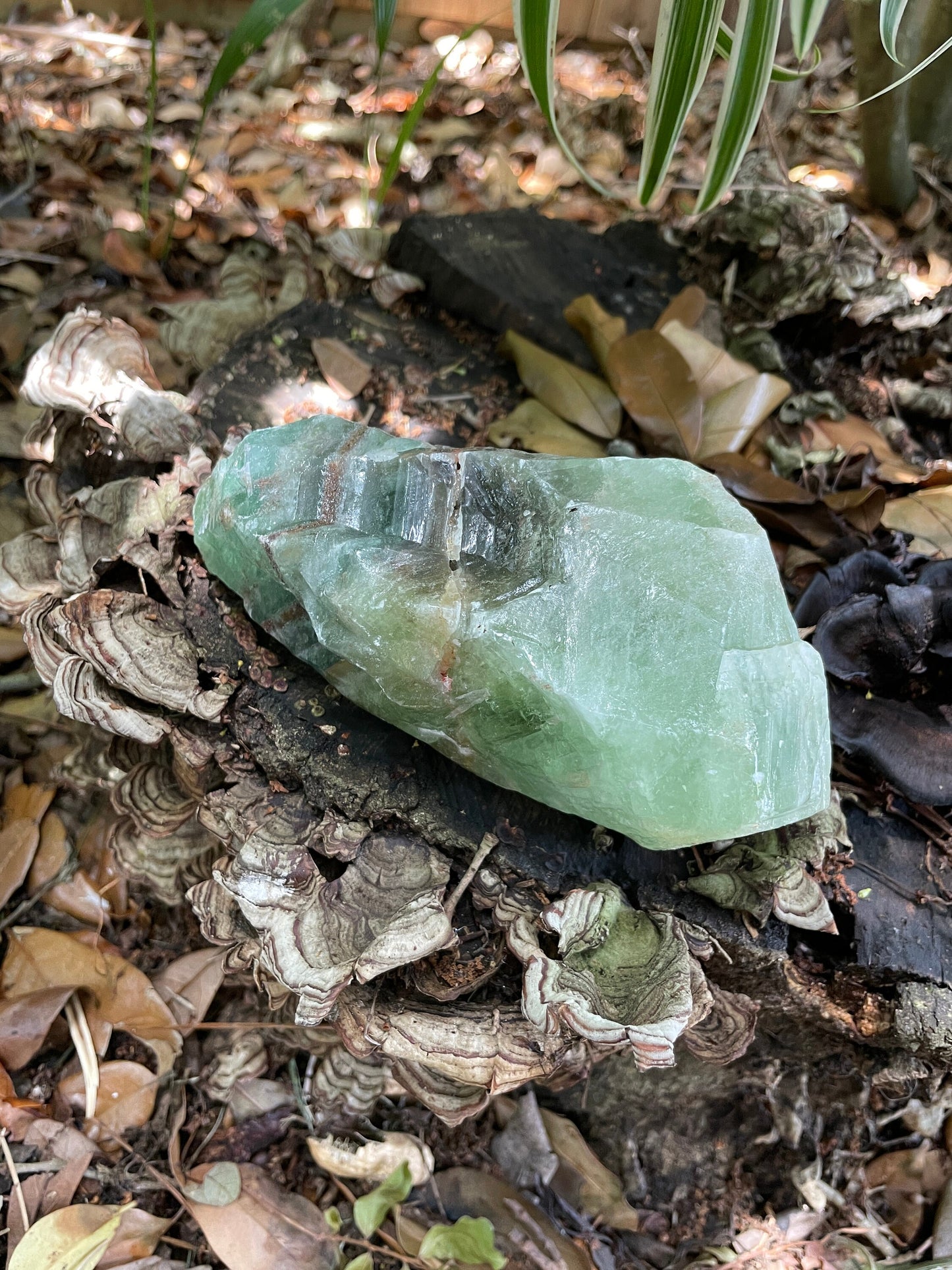 Beautiful Blue/Green Calcite Specimen from Mexico, 954g Mineral Crystal