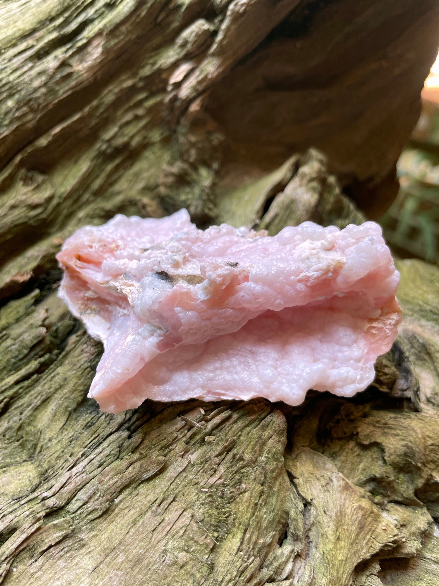 Rare Botryoidal Natural Pink Opal from Ica, Peru Specimen 89.7g Mineral Crystal