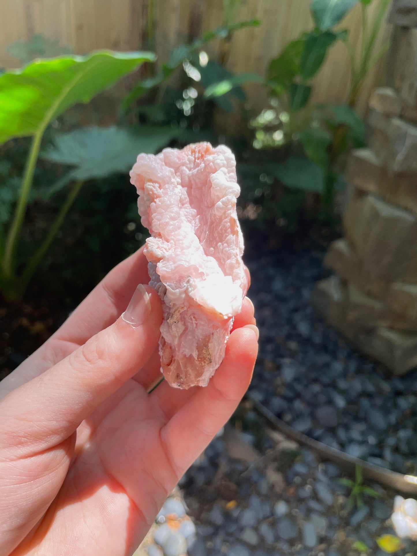 Rare Botryoidal Natural Pink Opal from Ica, Peru Specimen 89.7g Mineral Crystal