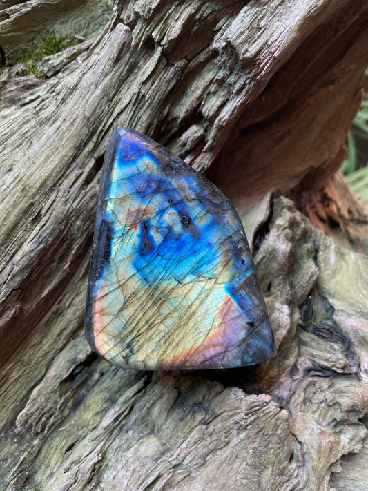 Polished Rainbow Labradorite Free Form 456g From Madagascar Mineral Crystal