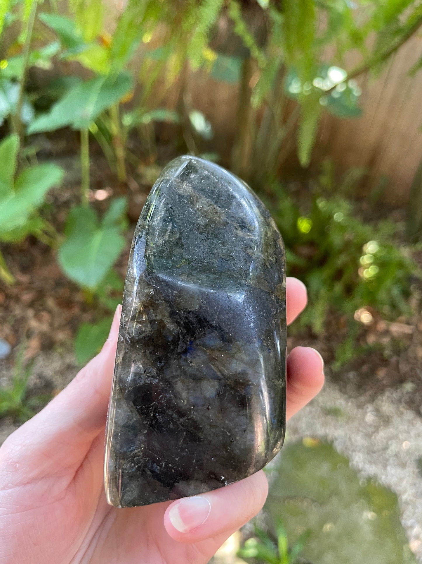 Polished Rainbow Labradorite Free Form 456g From Madagascar Mineral Crystal