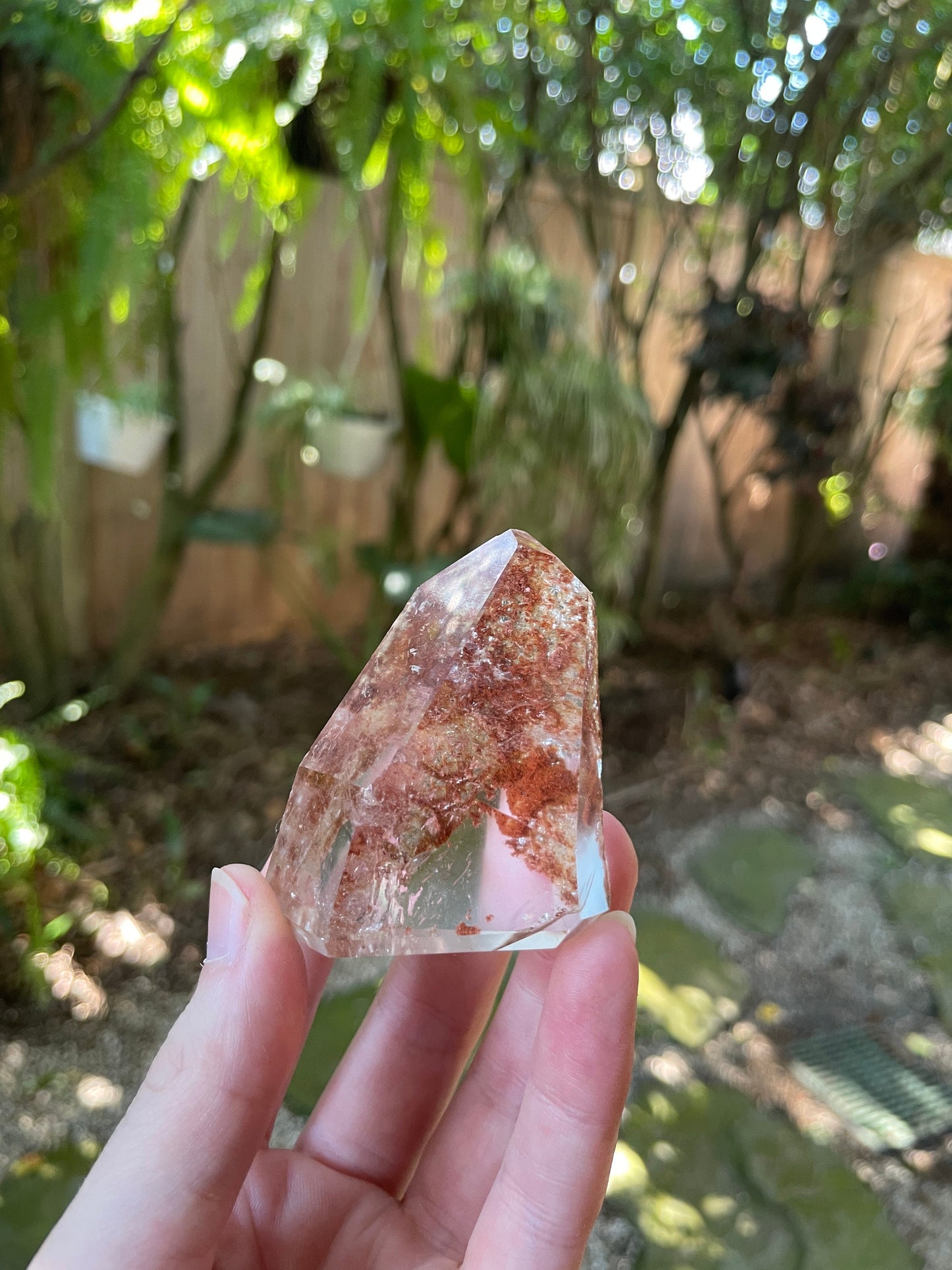 Half Polished Lodolite Garden Quartz 89.5g Point Specimen Mineral Crystal